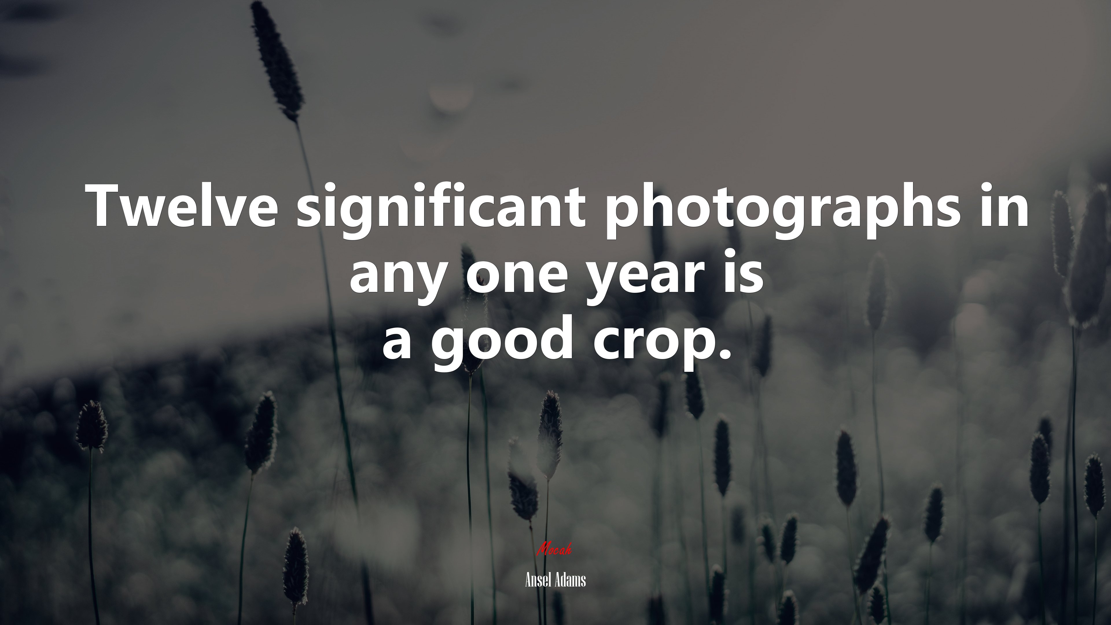 Twelve significant photographs in any one year is a good crop. | Ansel Adams quote HD Wallpaper