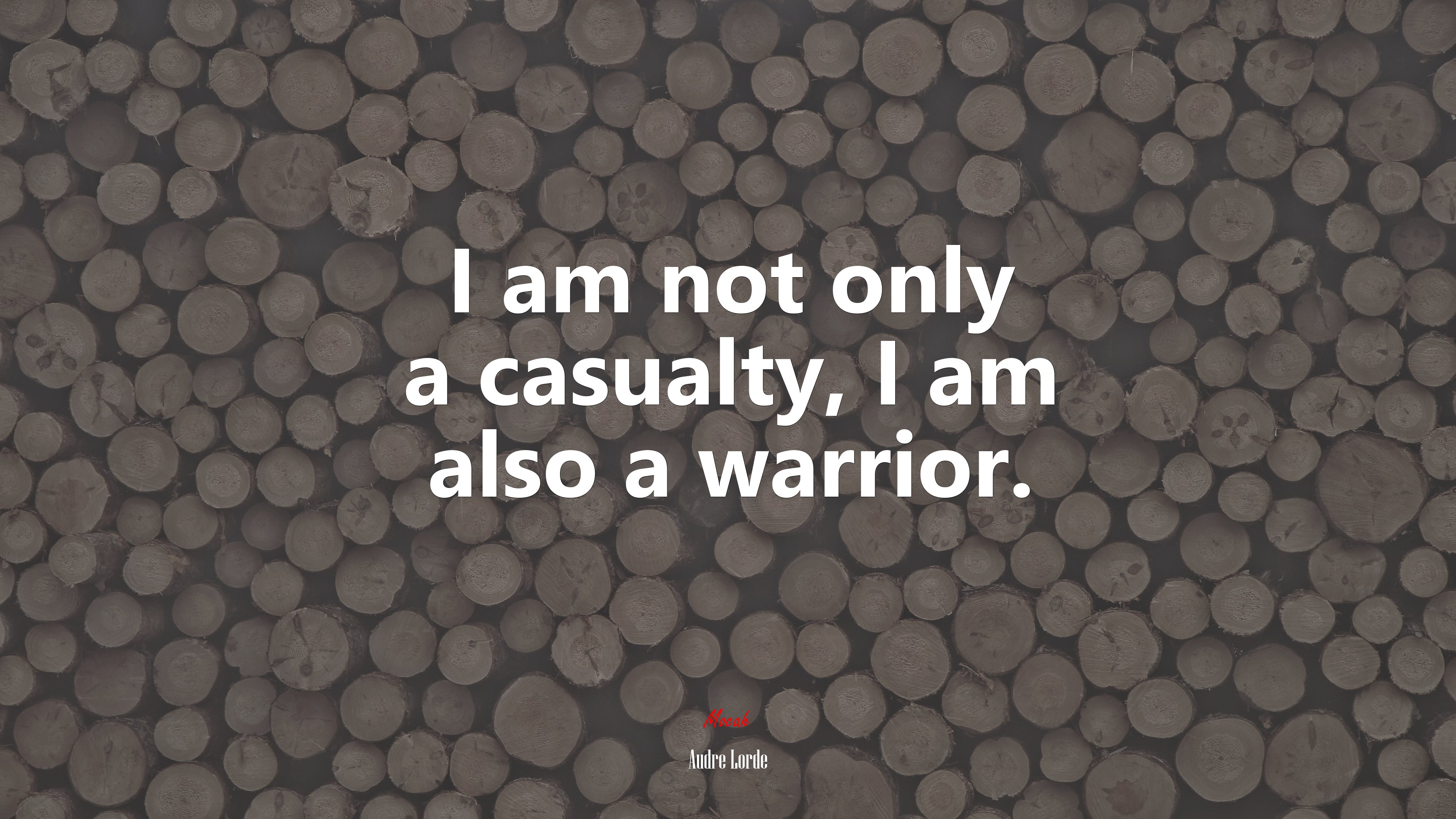 I am not only a casualty, I am also a warrior. | Audre Lorde quote HD Wallpaper
