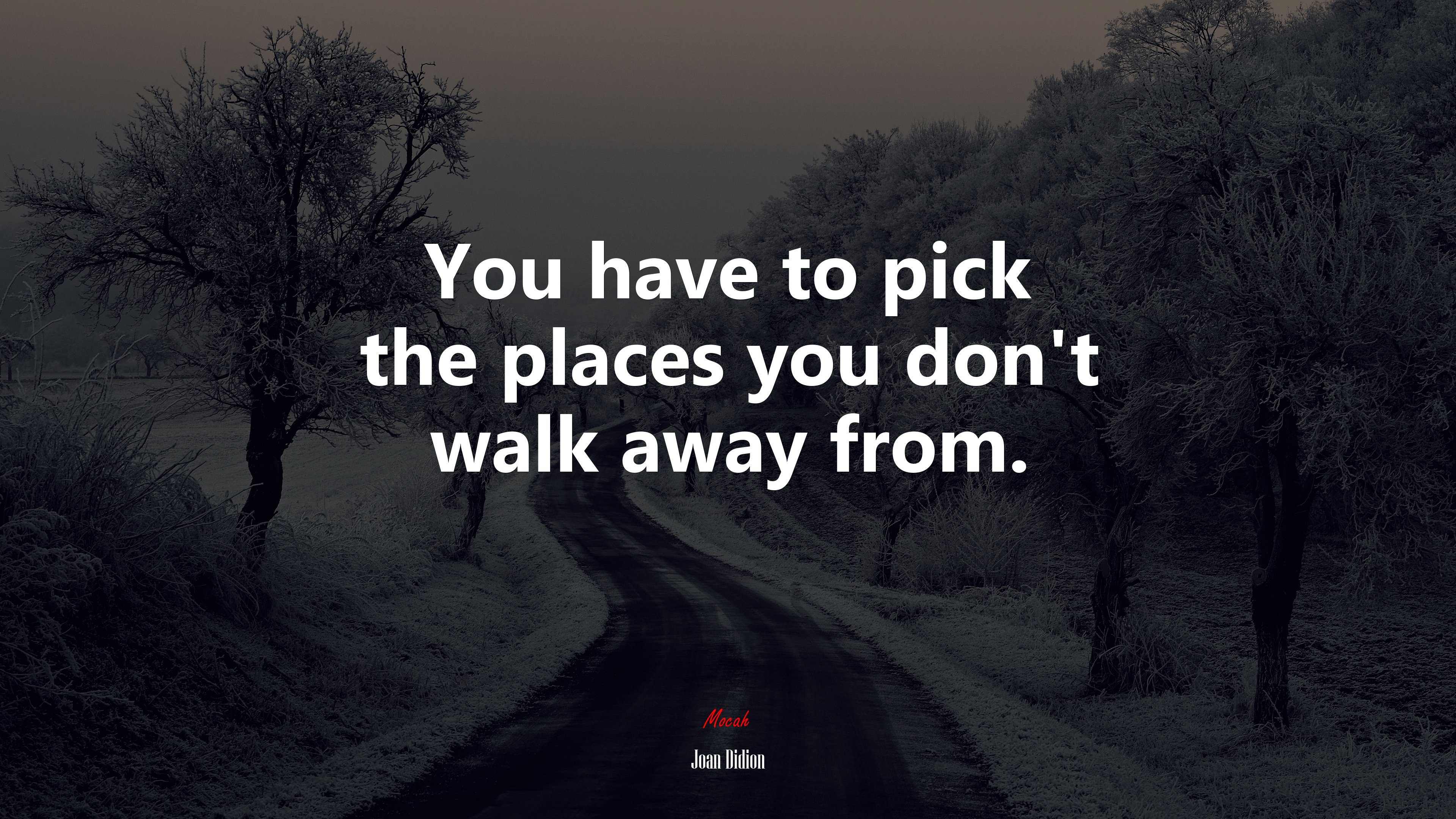 You have to pick the places you don’t walk away from. | Joan Didion quote HD Wallpaper