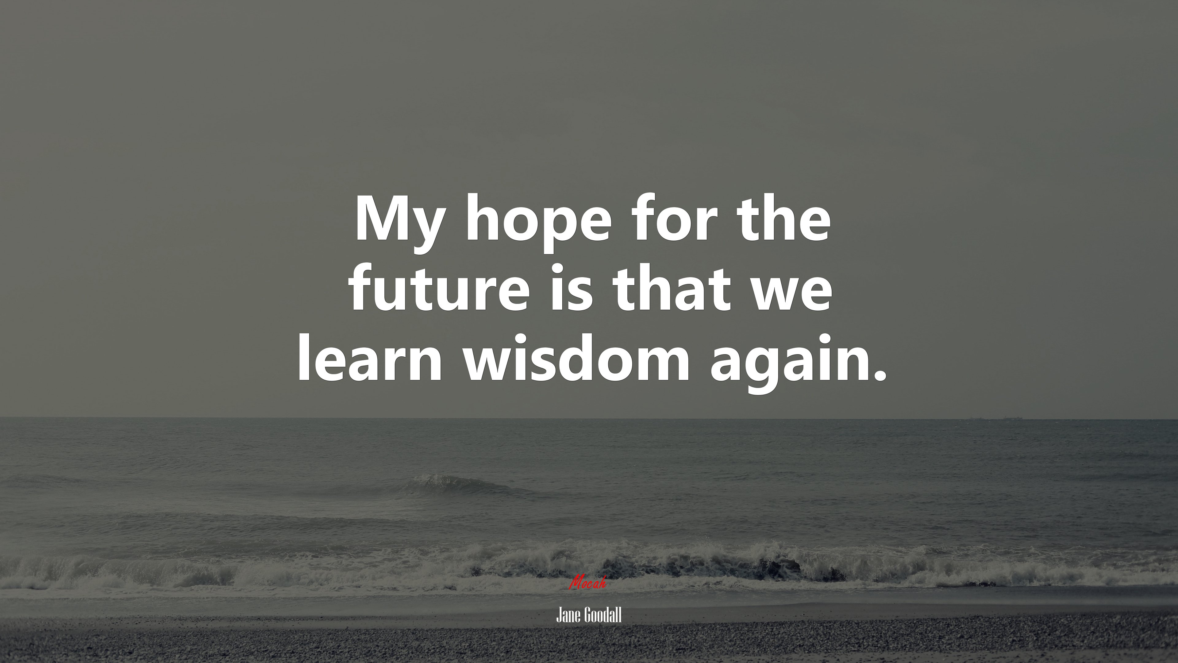 My hope for the future is that we learn wisdom again. | Jane Goodall quote HD Wallpaper
