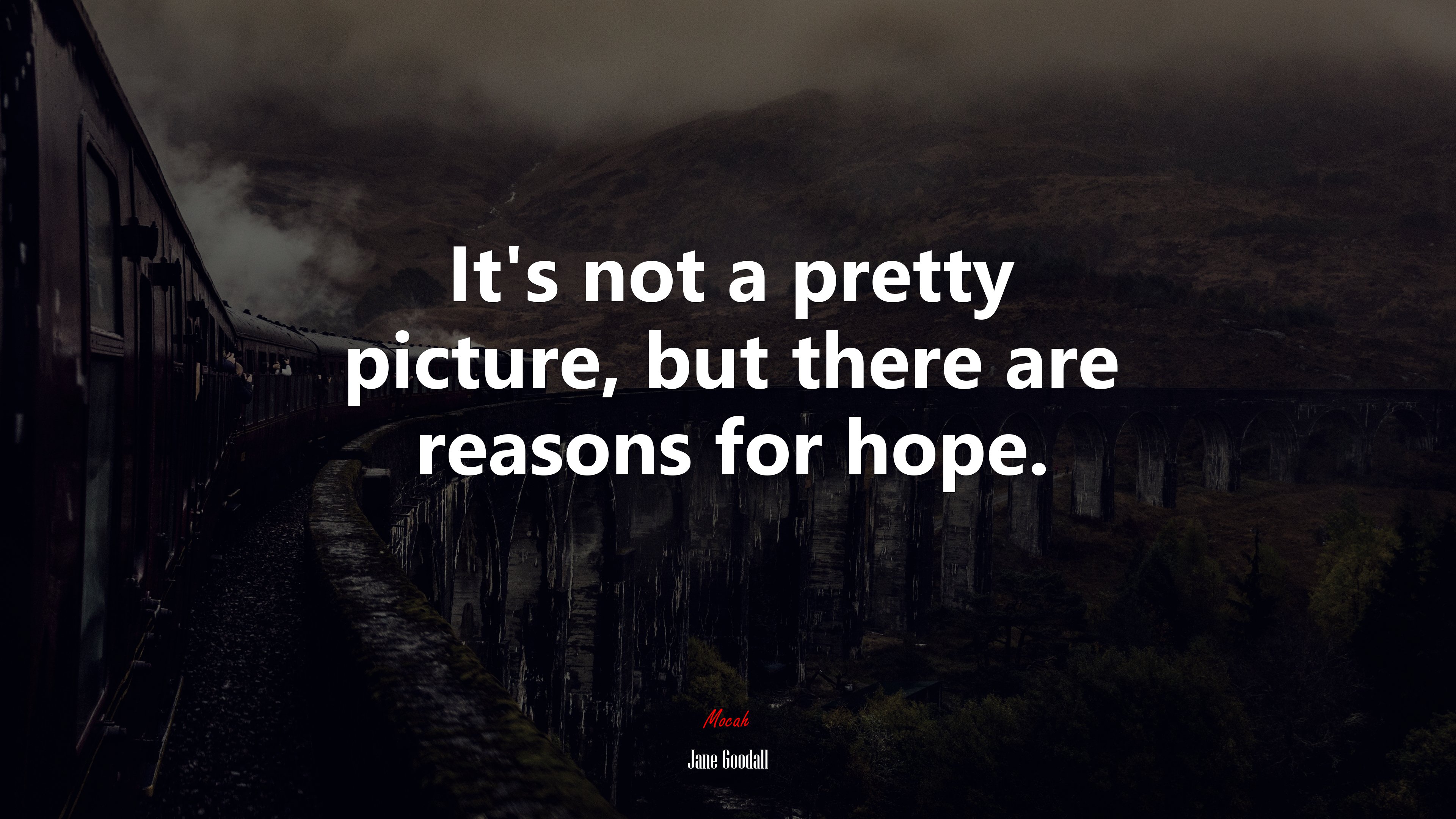It’s not a pretty picture, but there are reasons for hope. | Jane Goodall quote HD Wallpaper