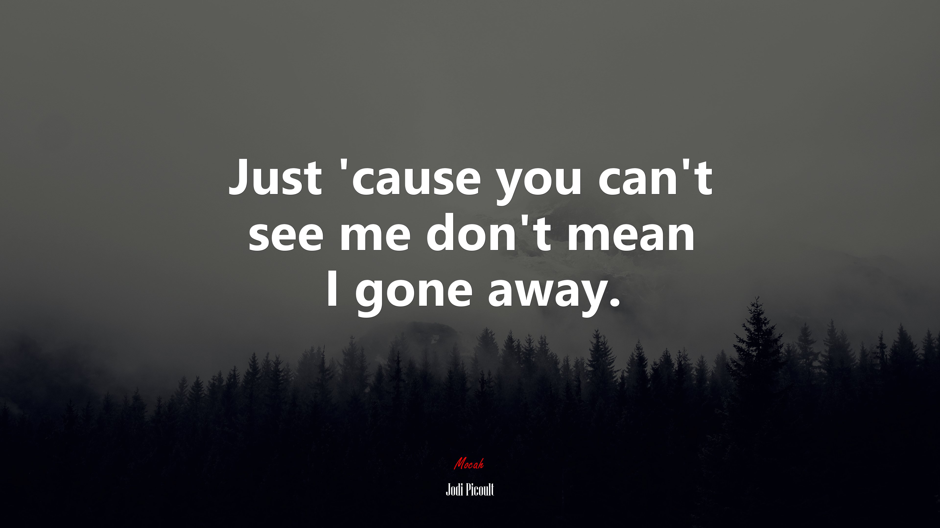 Just ’cause you can’t see me don’t mean I gone away. | Jodi Picoult quote HD Wallpaper