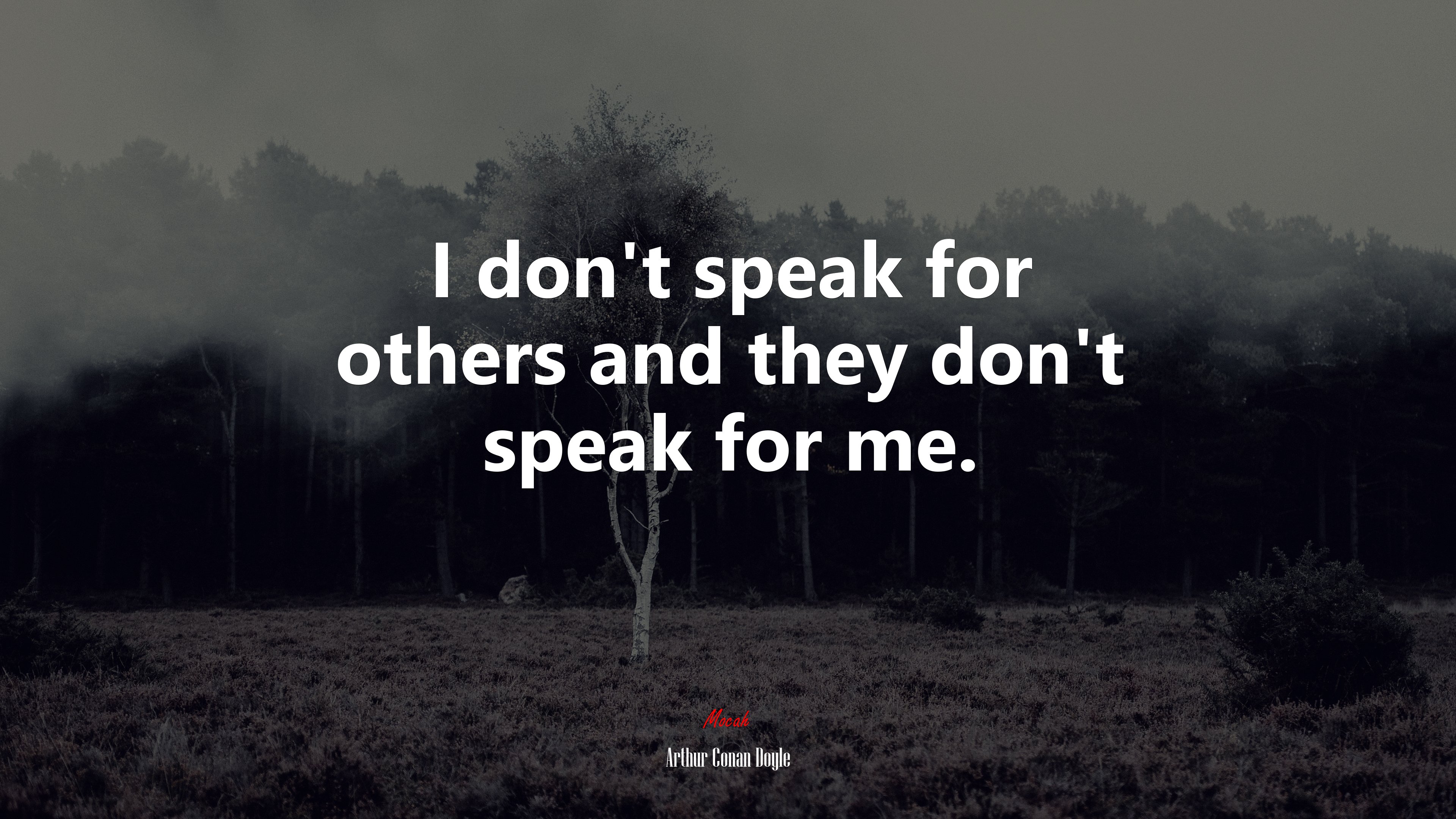 I don’t speak for others and they don’t speak for me. | Arthur Conan Doyle quote HD Wallpaper