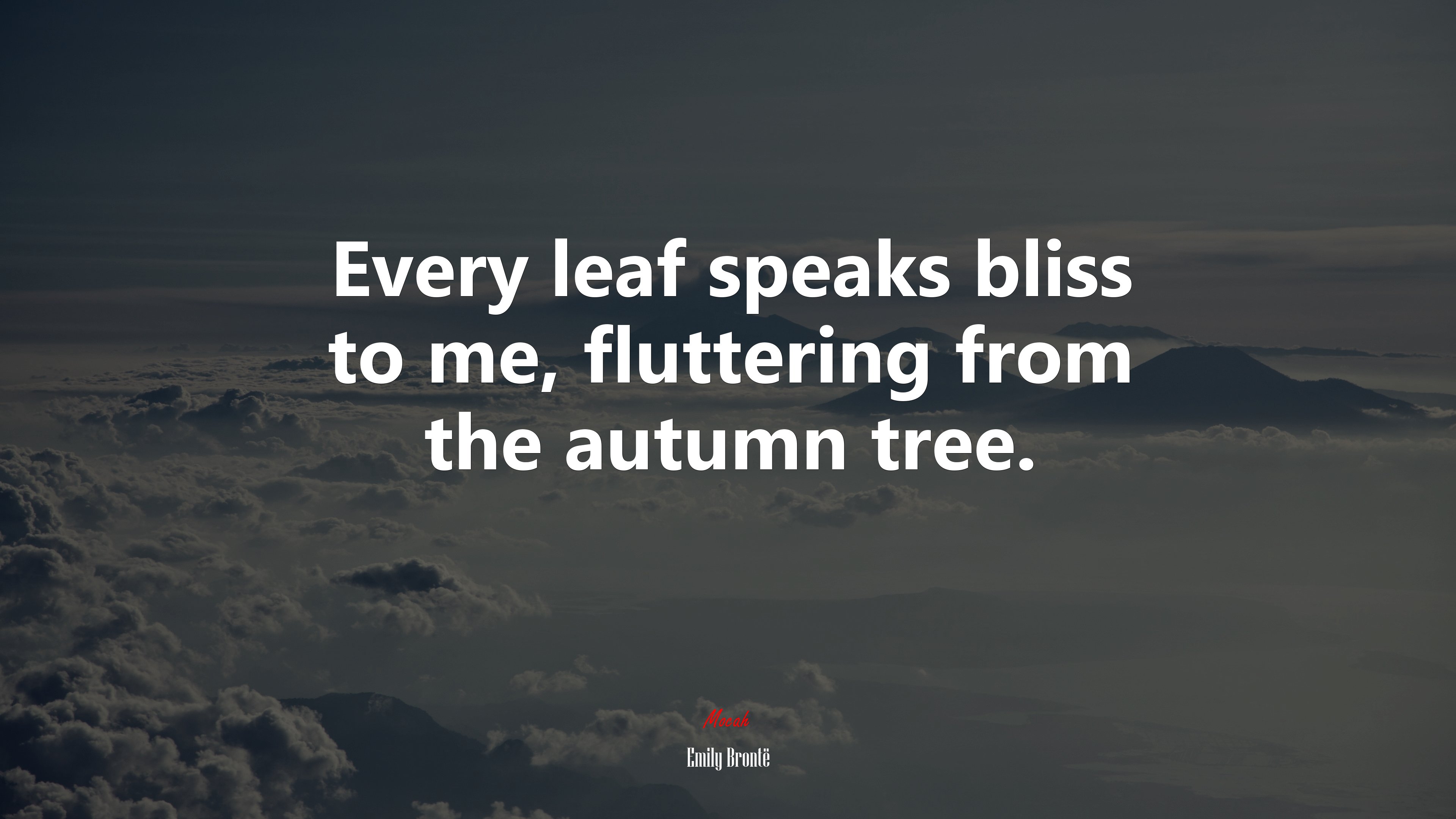 Every leaf speaks bliss to me, fluttering from the autumn tree. | Emily Brontë quote HD Wallpaper