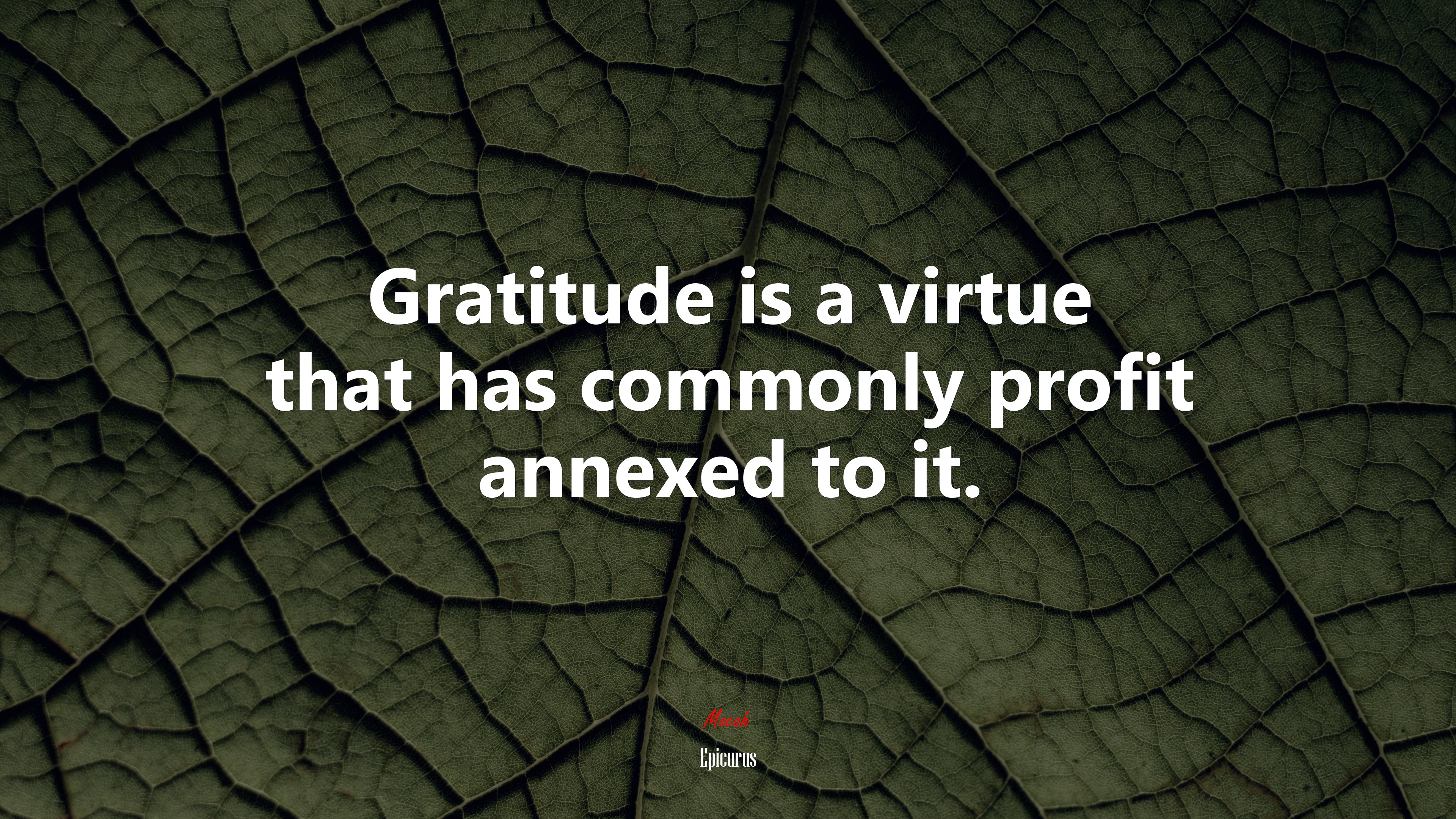 Gratitude is a virtue that has commonly profit annexed to it. | Epicurus quote HD Wallpaper