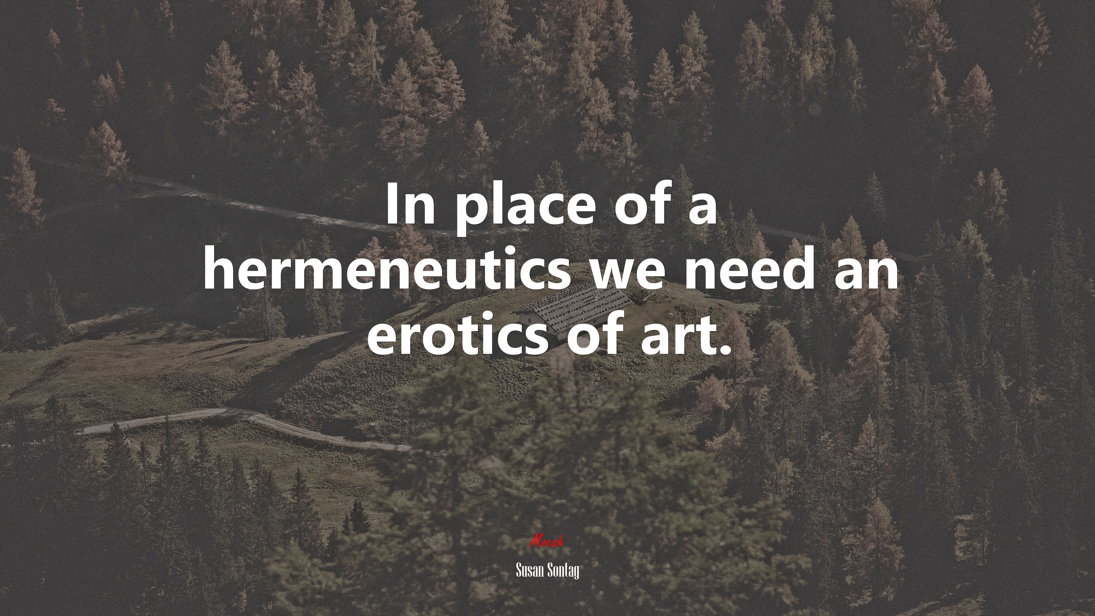 In place of a hermeneutics we need an erotics of art. | Susan Sontag quote HD Wallpaper