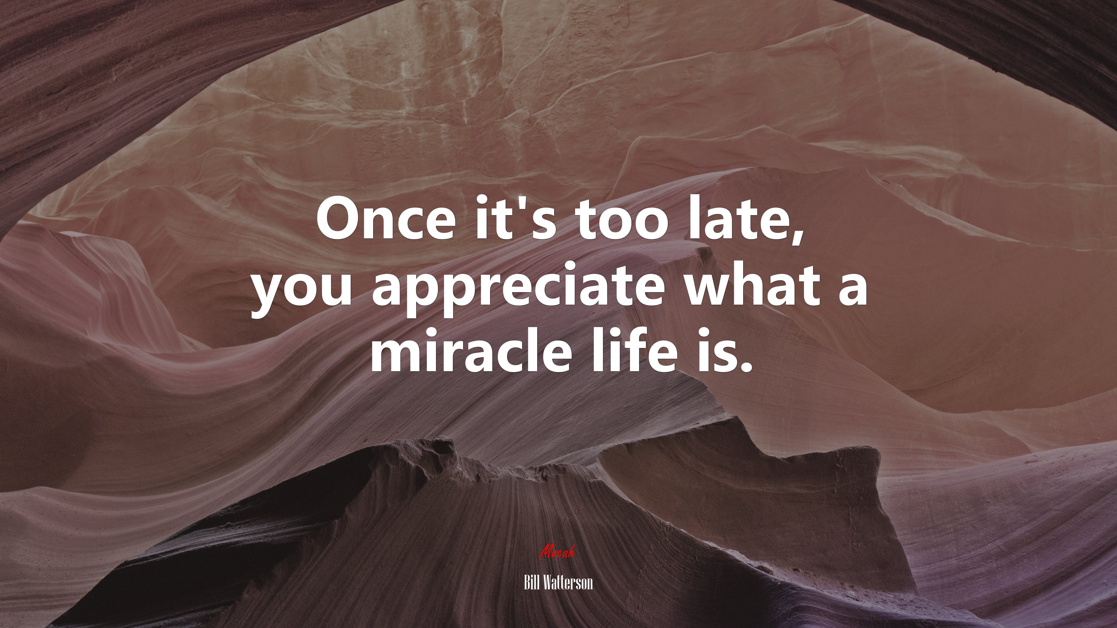 Once it’s too late, you appreciate what a miracle life is. | Bill Watterson quote HD Wallpaper