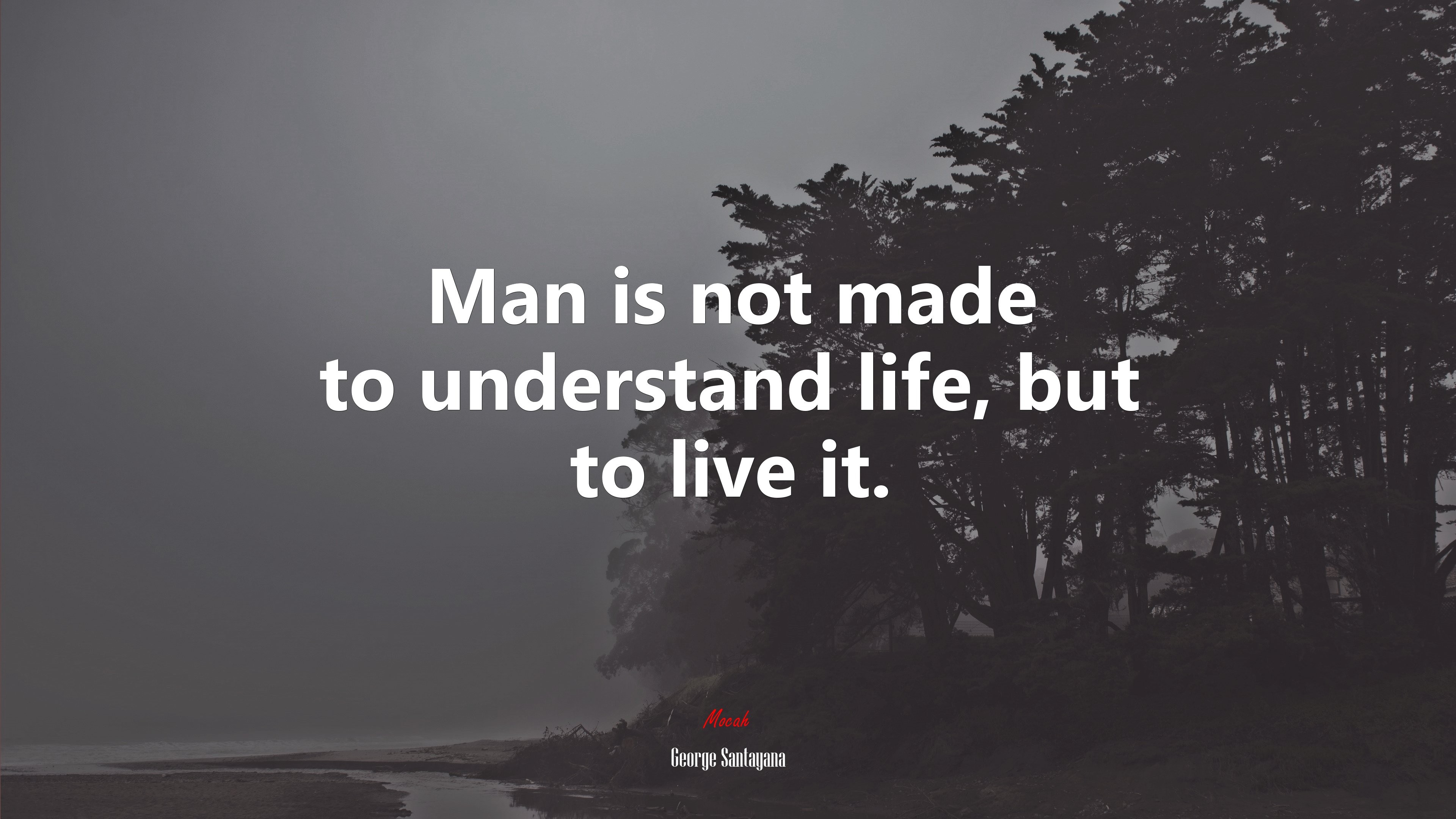 Man is not made to understand life, but to live it. | George Santayana quote HD Wallpaper