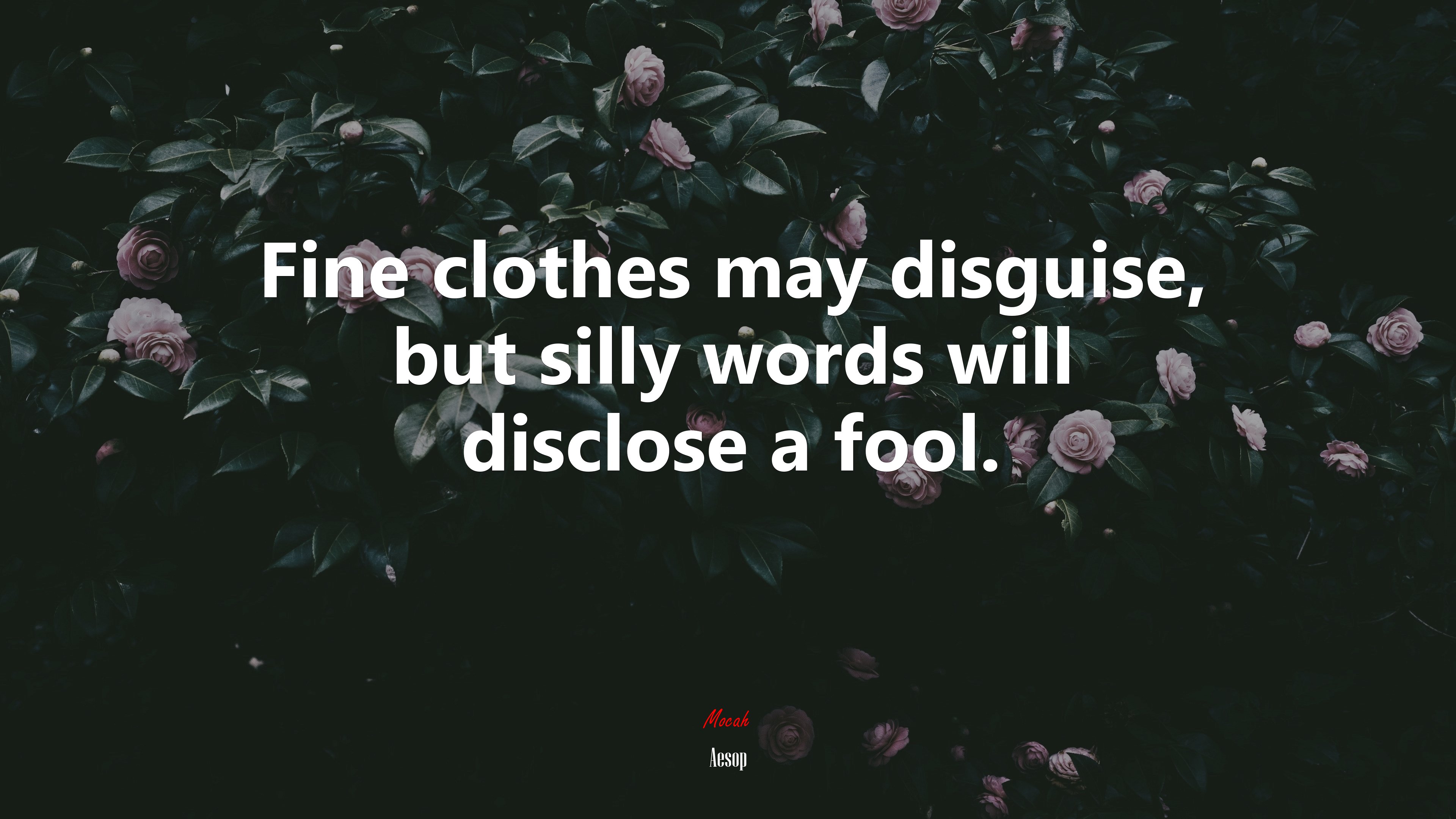 Fine clothes may disguise, but silly words will disclose a fool. | Aesop quote HD Wallpaper