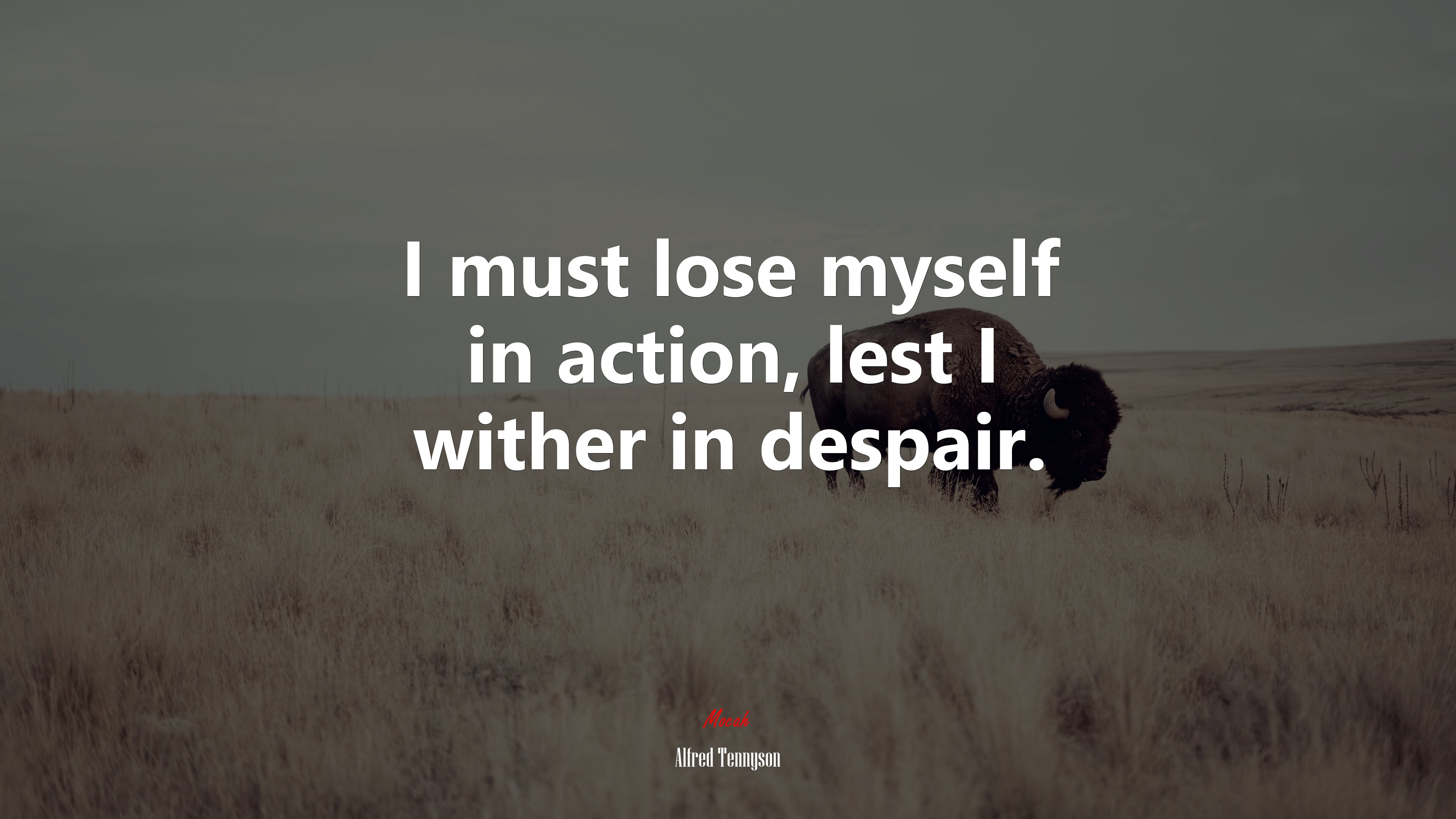 I must lose myself in action, lest I wither in despair. | Alfred Tennyson quote HD Wallpaper
