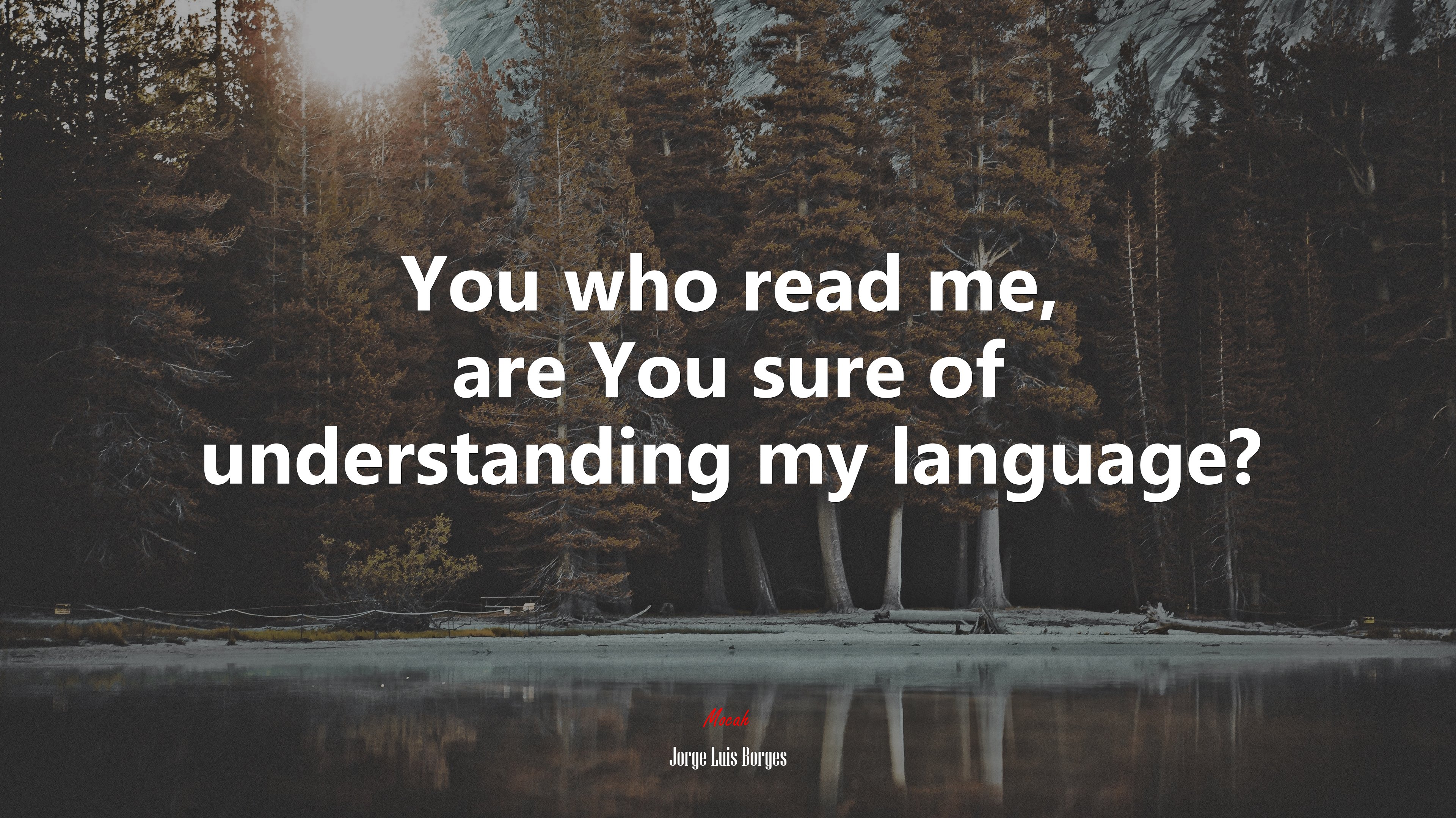 You who read me, are You sure of understanding my language? | Jorge Luis Borges quote HD Wallpaper