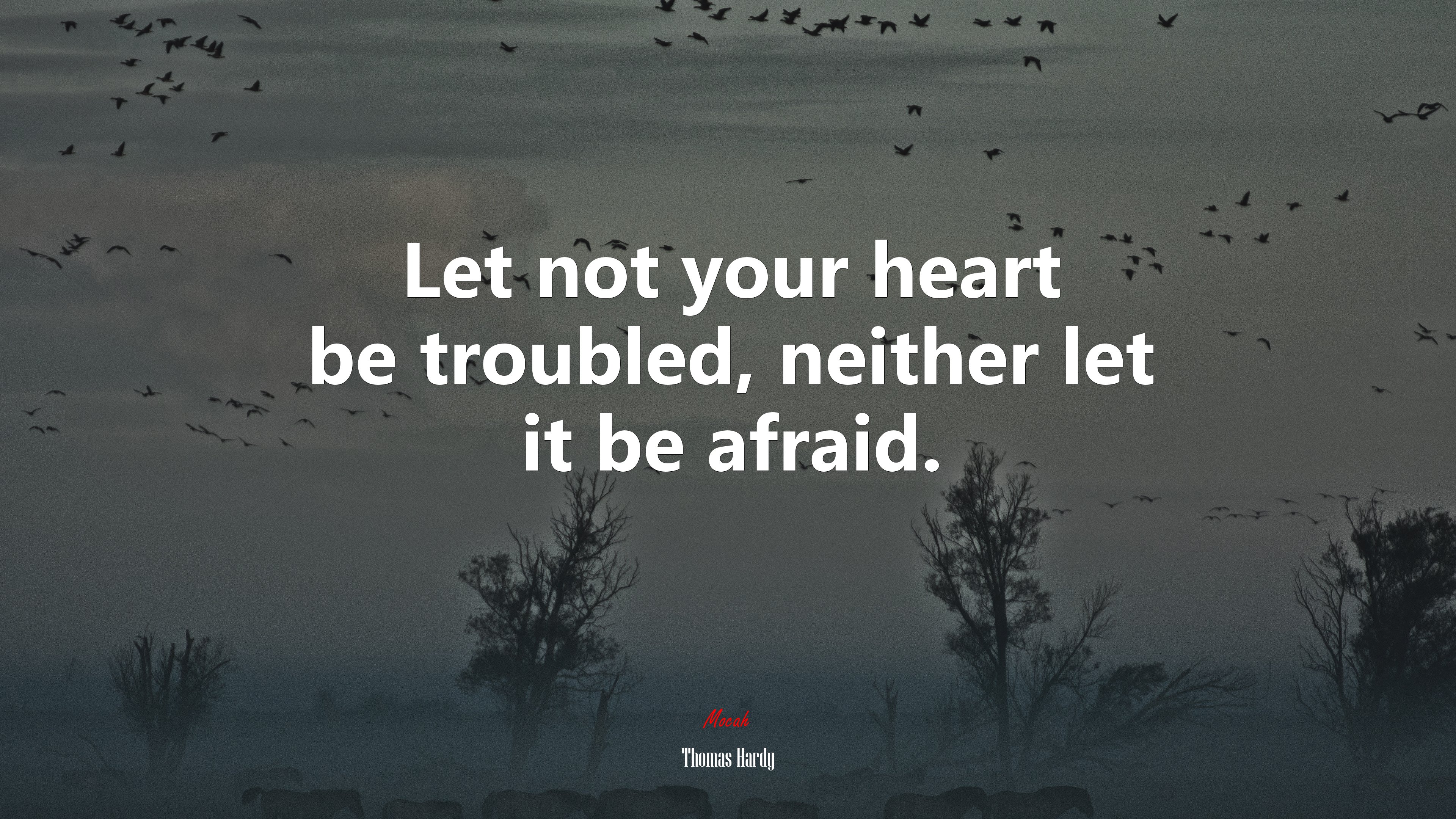 Let not your heart be troubled, neither let it be afraid. | Thomas Hardy quote HD Wallpaper