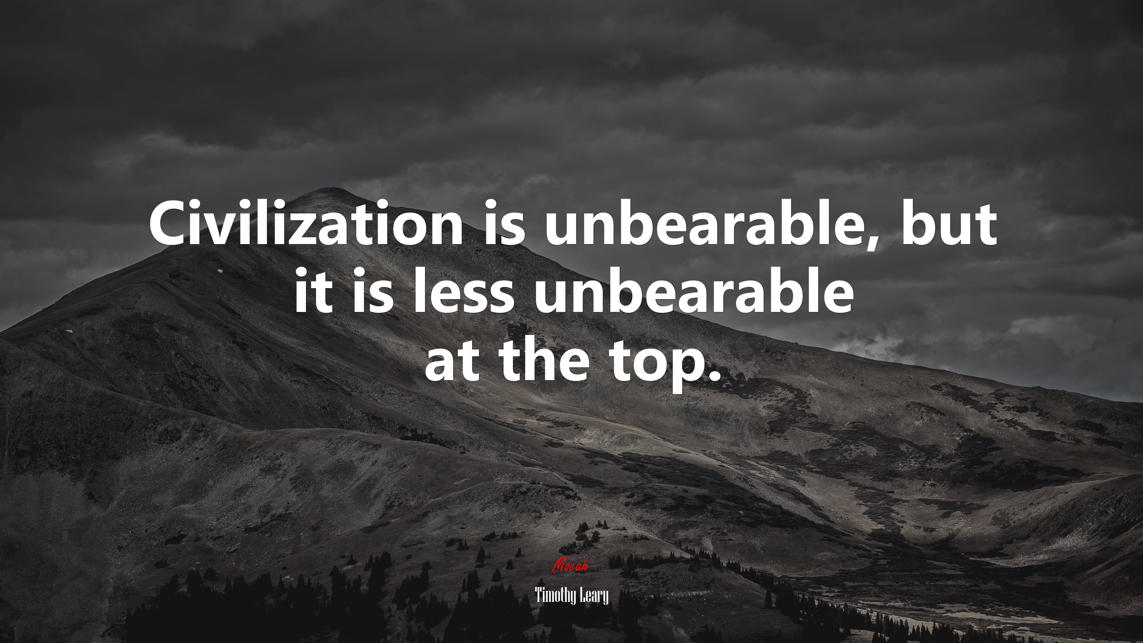 Civilization is unbearable, but it is less unbearable at the top. | Timothy Leary quote HD Wallpaper
