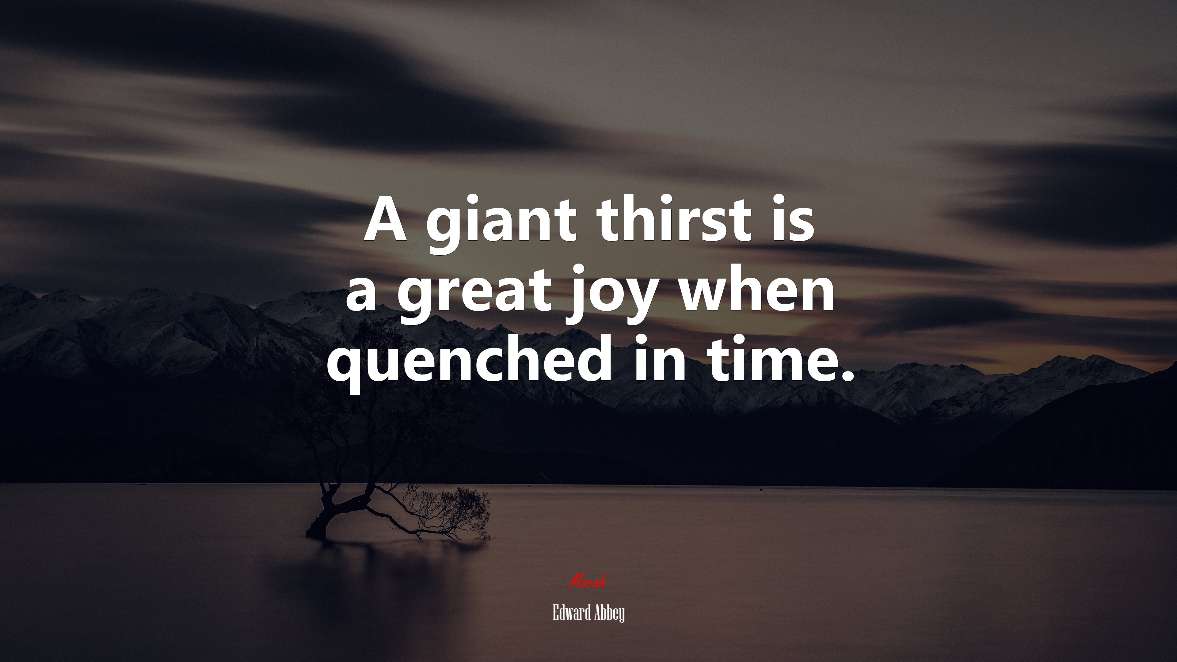 A giant thirst is a great joy when quenched in time. | Edward Abbey quote HD Wallpaper