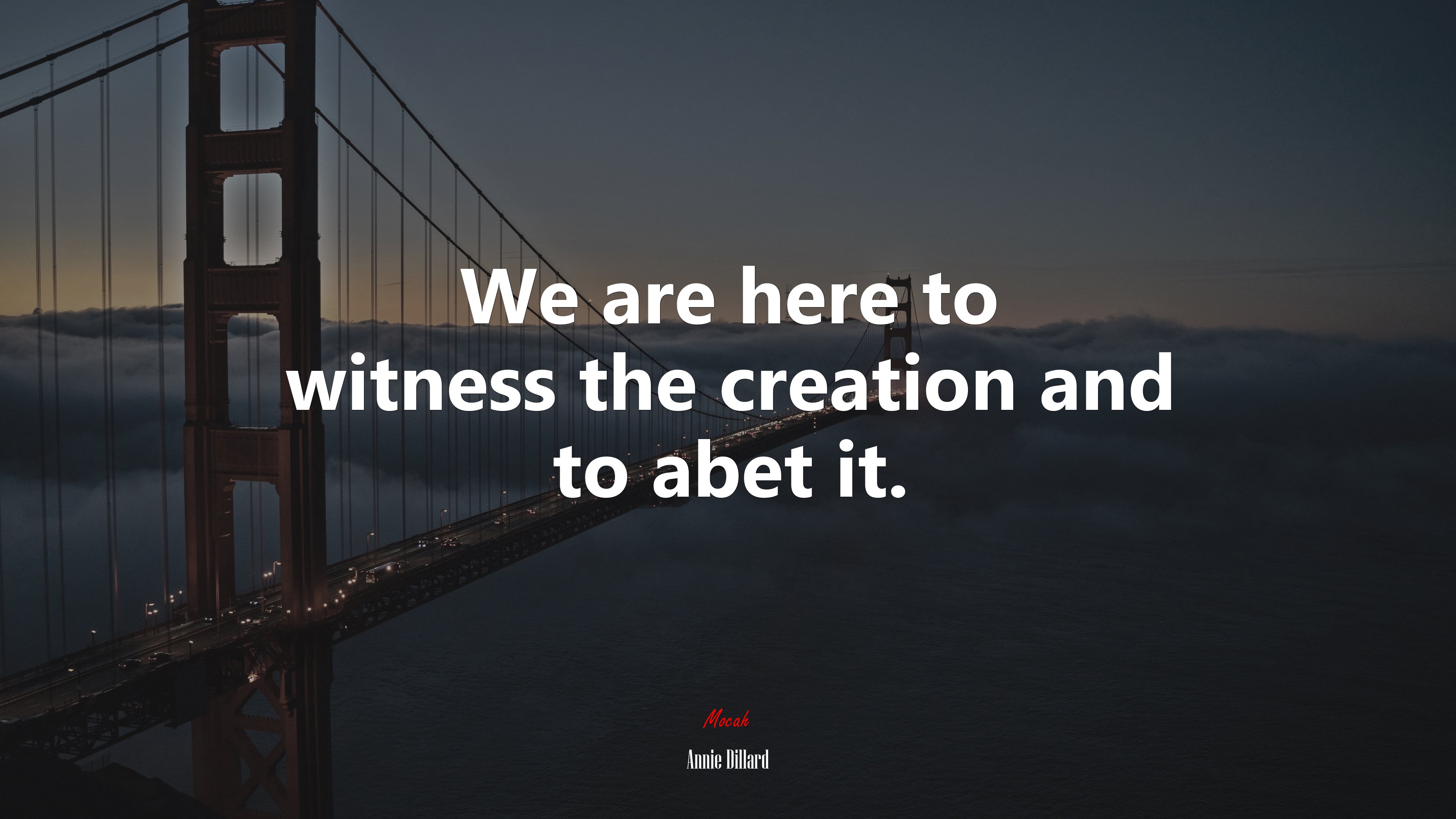 We are here to witness the creation and to abet it. | Annie Dillard quote HD Wallpaper