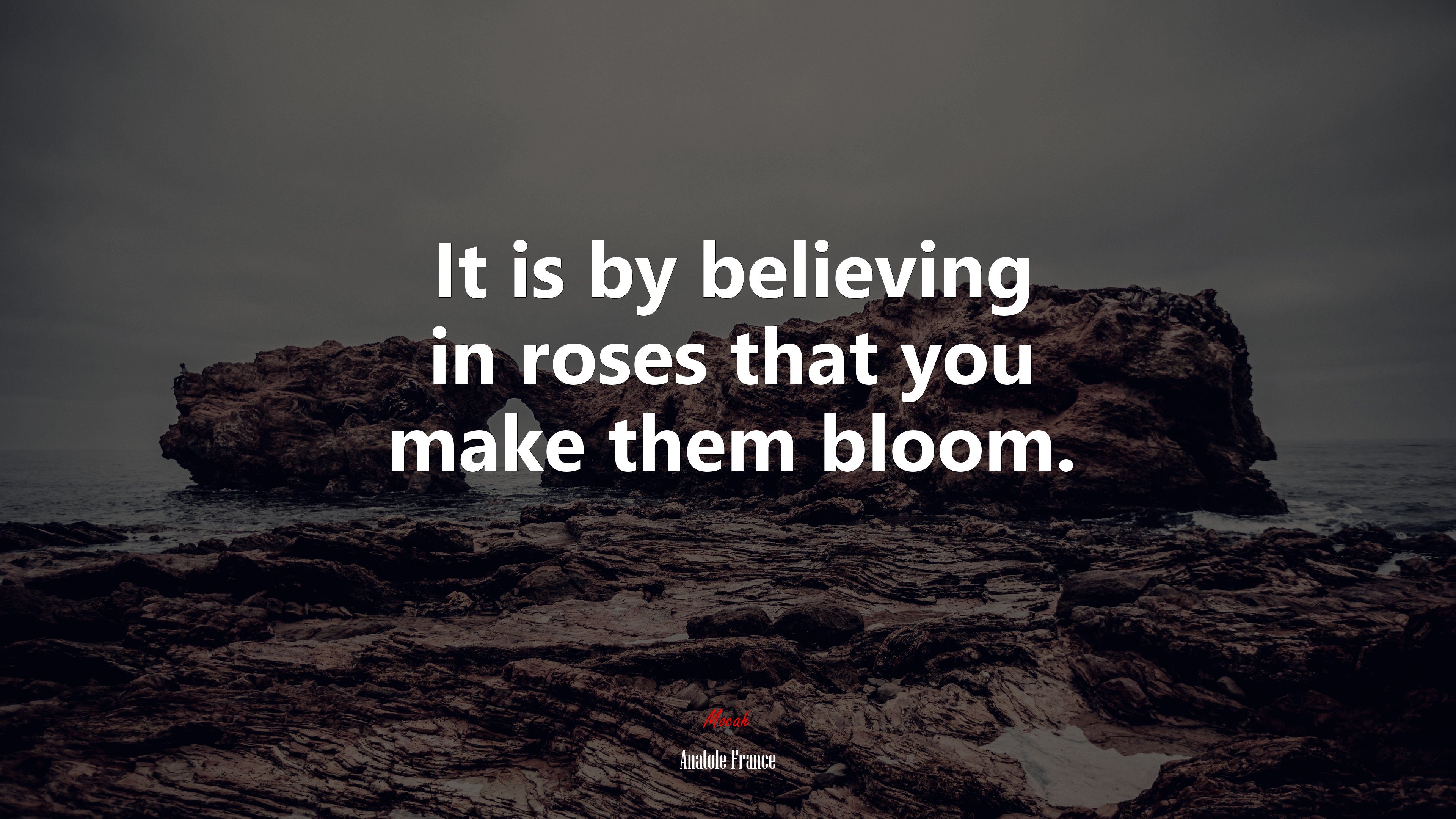 It is by believing in roses that you make them bloom. | Anatole France quote HD Wallpaper