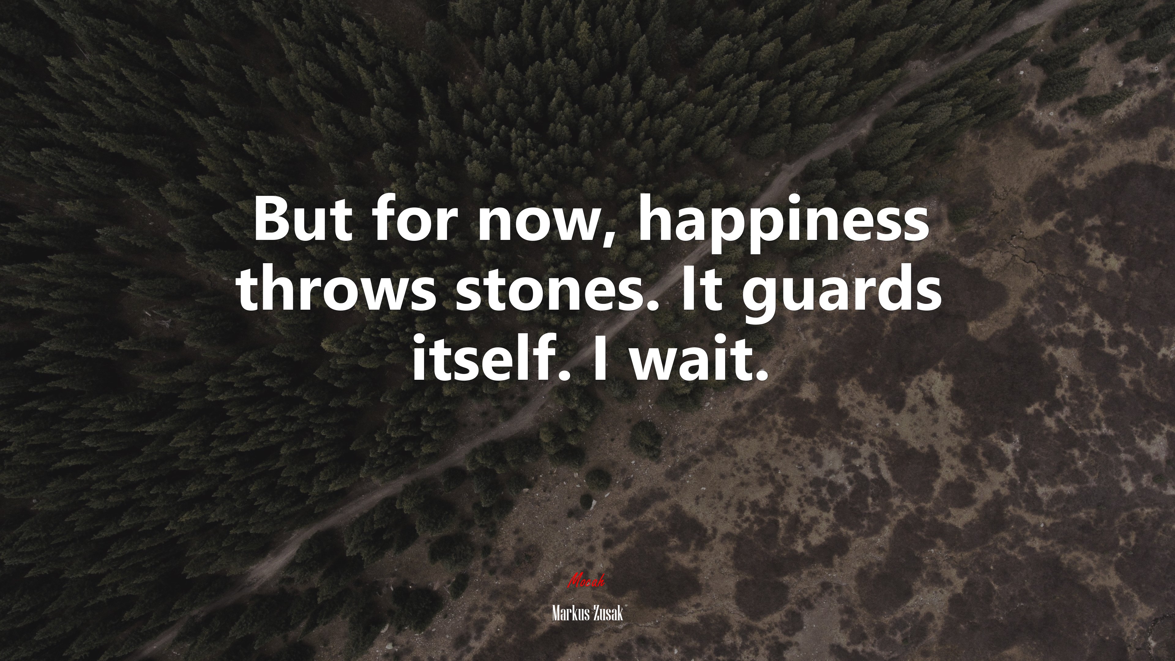 But for now, happiness throws stones. It guards itself. I wait. | Markus Zusak quote HD Wallpaper