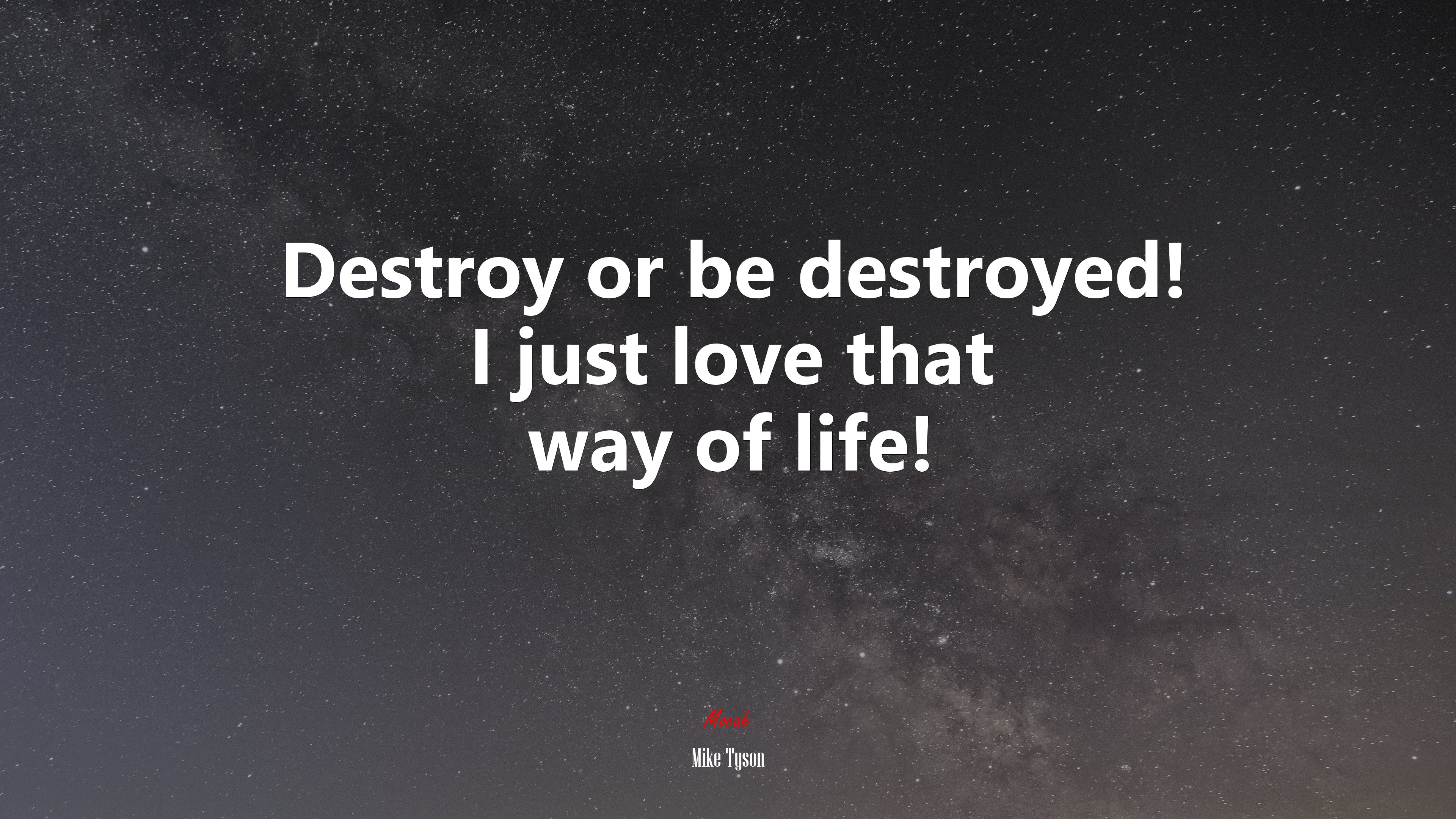 Destroy or be destroyed! I just love that way of life! | Mike Tyson quote HD Wallpaper