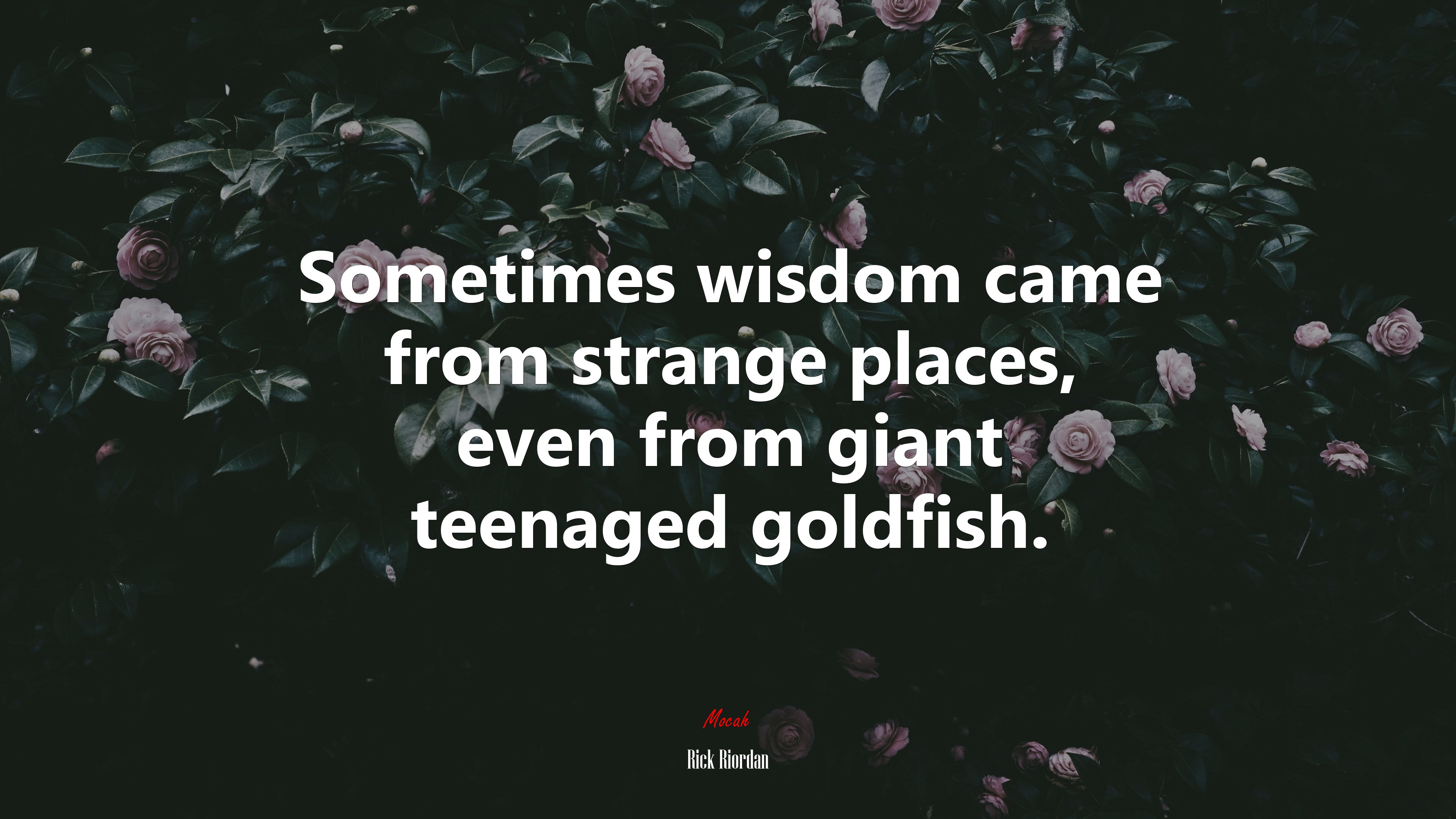 Sometimes wisdom came from strange places, even from giant teenaged goldfish. | Rick Riordan quote HD Wallpaper