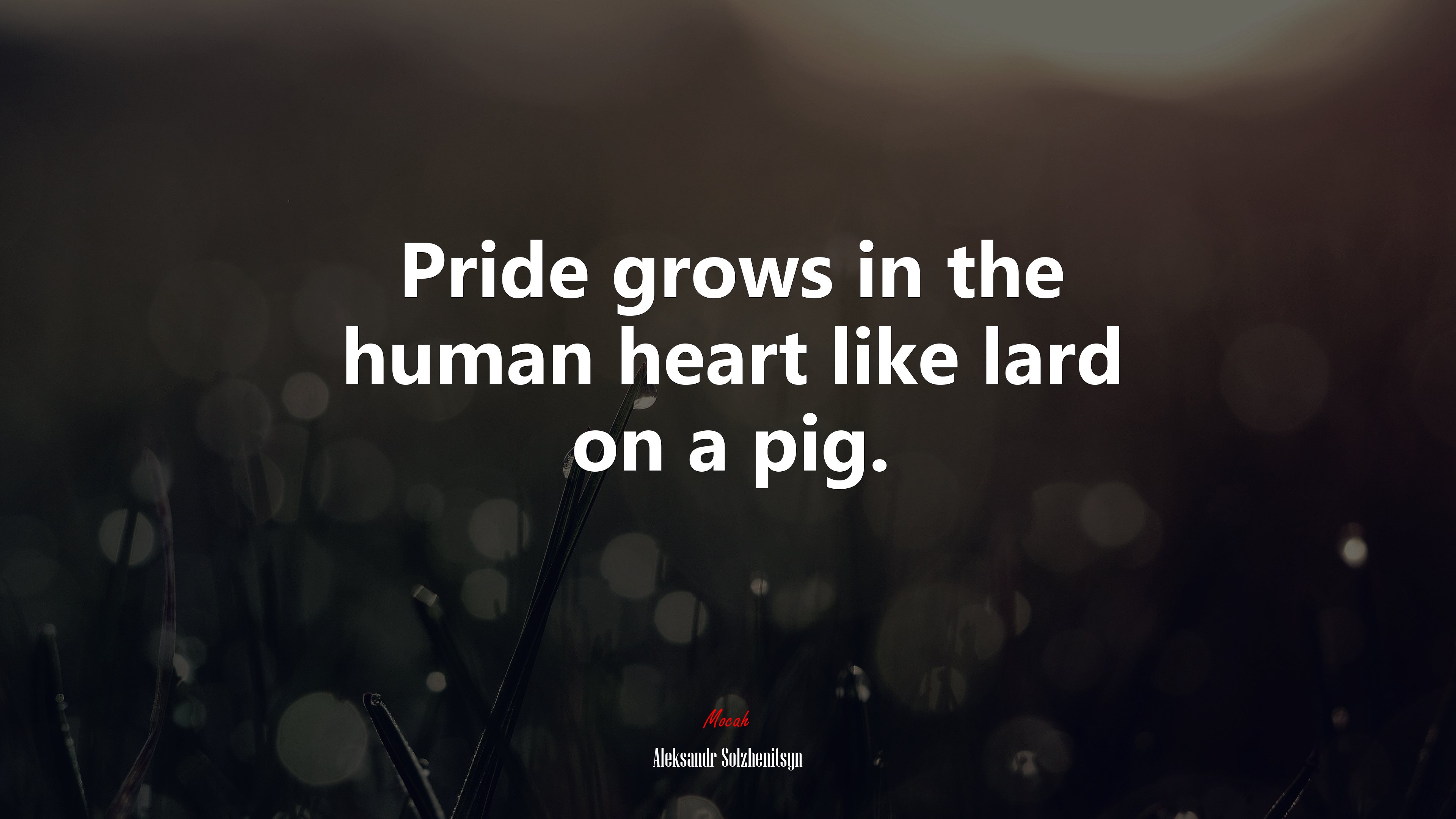 Pride grows in the human heart like lard on a pig. | Aleksandr Solzhenitsyn quote HD Wallpaper