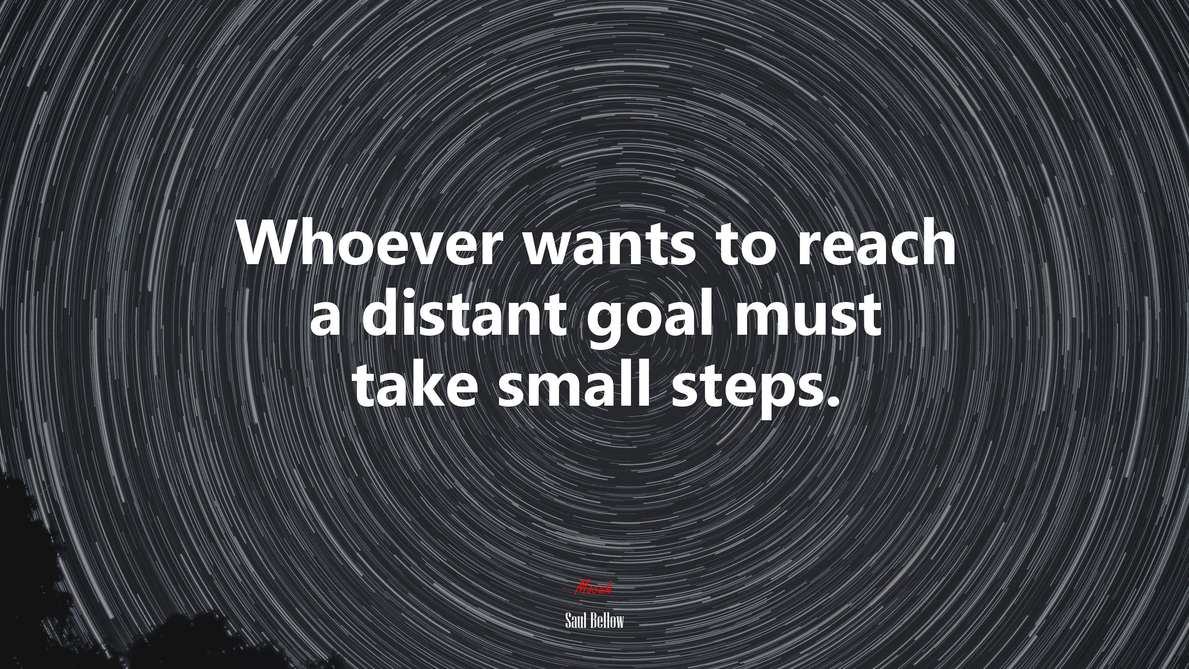 Whoever wants to reach a distant goal must take small steps. | Saul Bellow quote HD Wallpaper