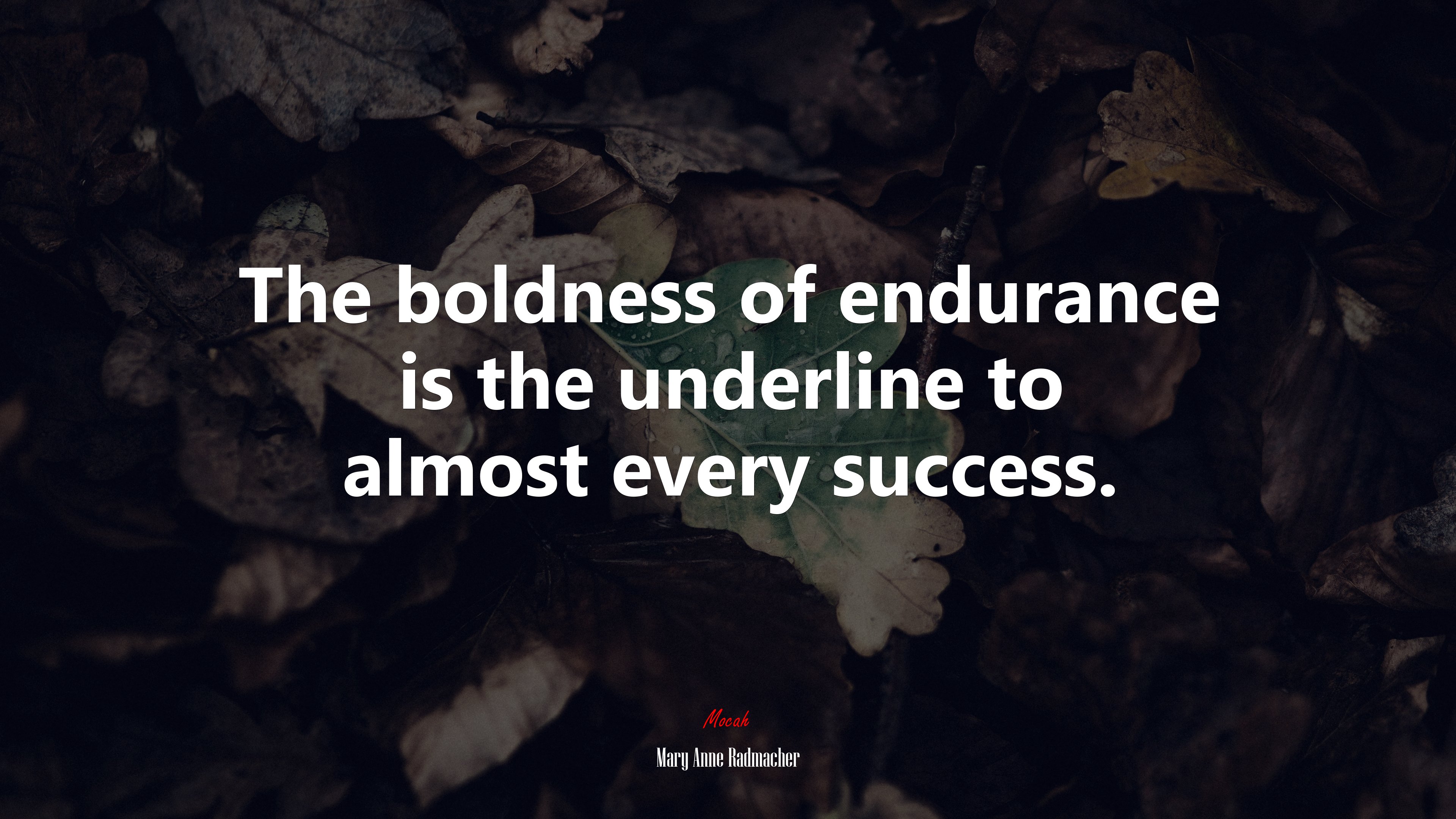 The boldness of endurance is the underline to almost every success. | Mary Anne Radmacher quote HD Wallpaper