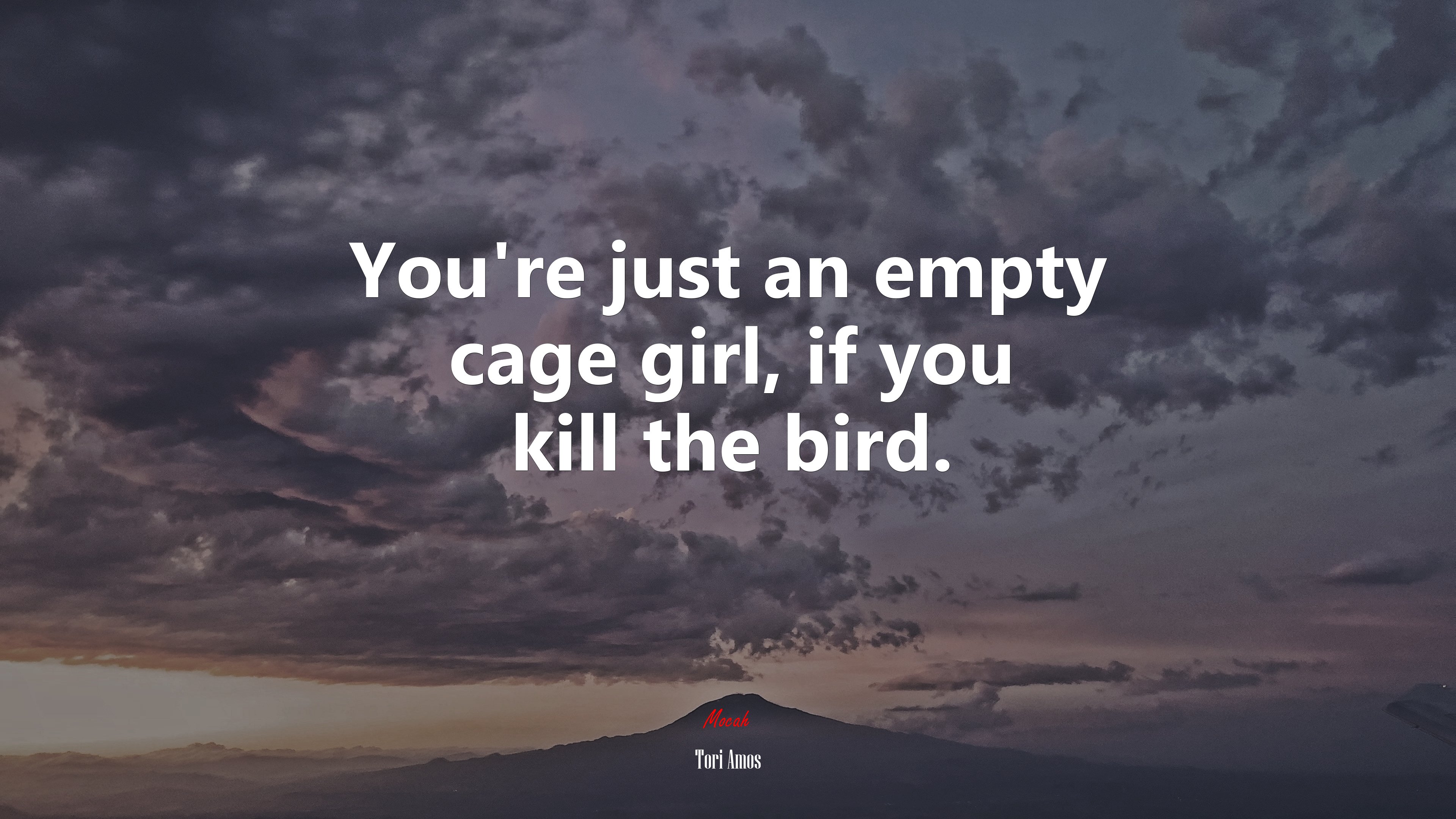 You’re just an empty cage girl, if you kill the bird. | Tori Amos quote HD Wallpaper