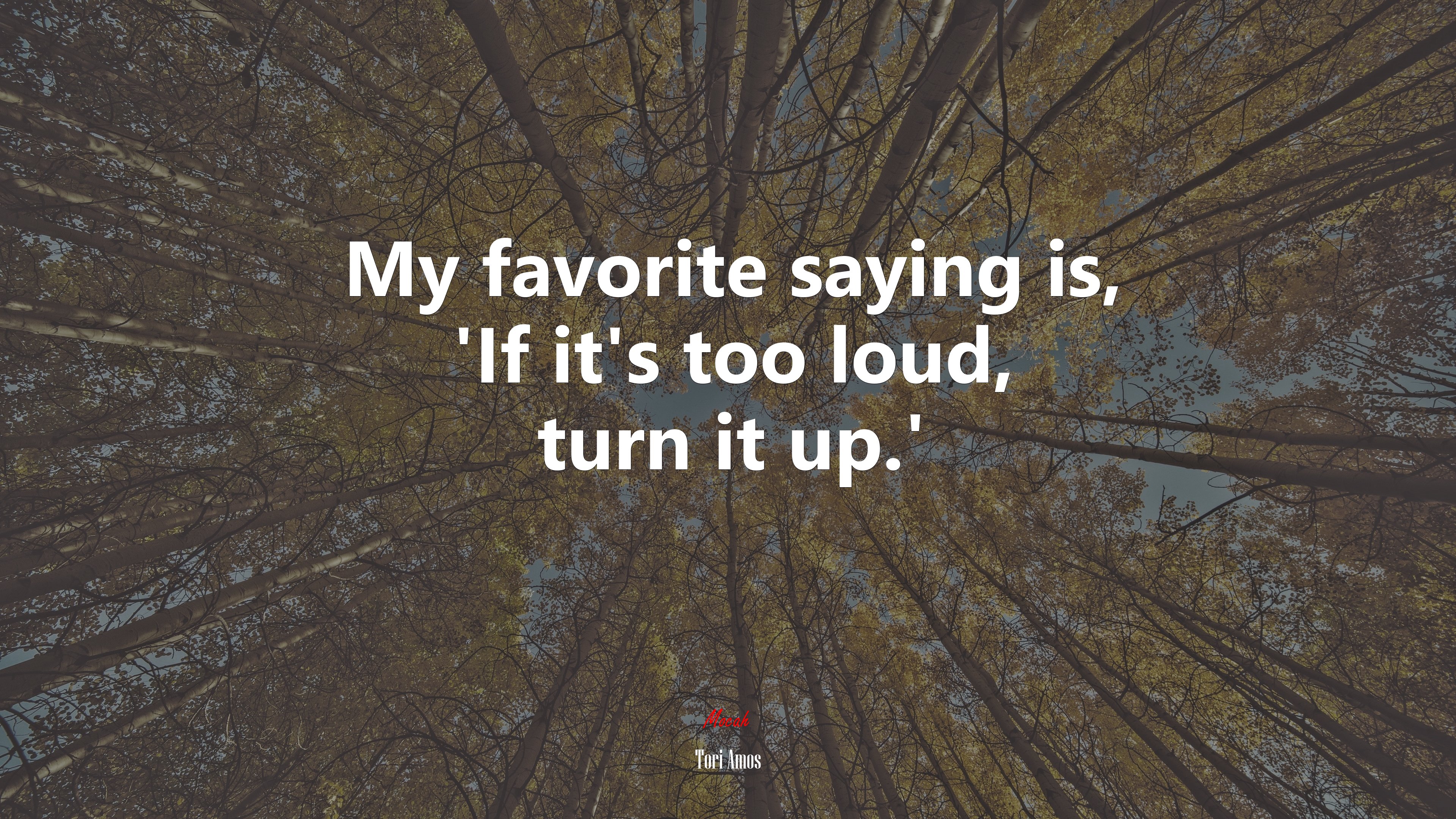My favorite saying is, ‘If it’s too loud, turn it up.’ | Tori Amos quote HD Wallpaper