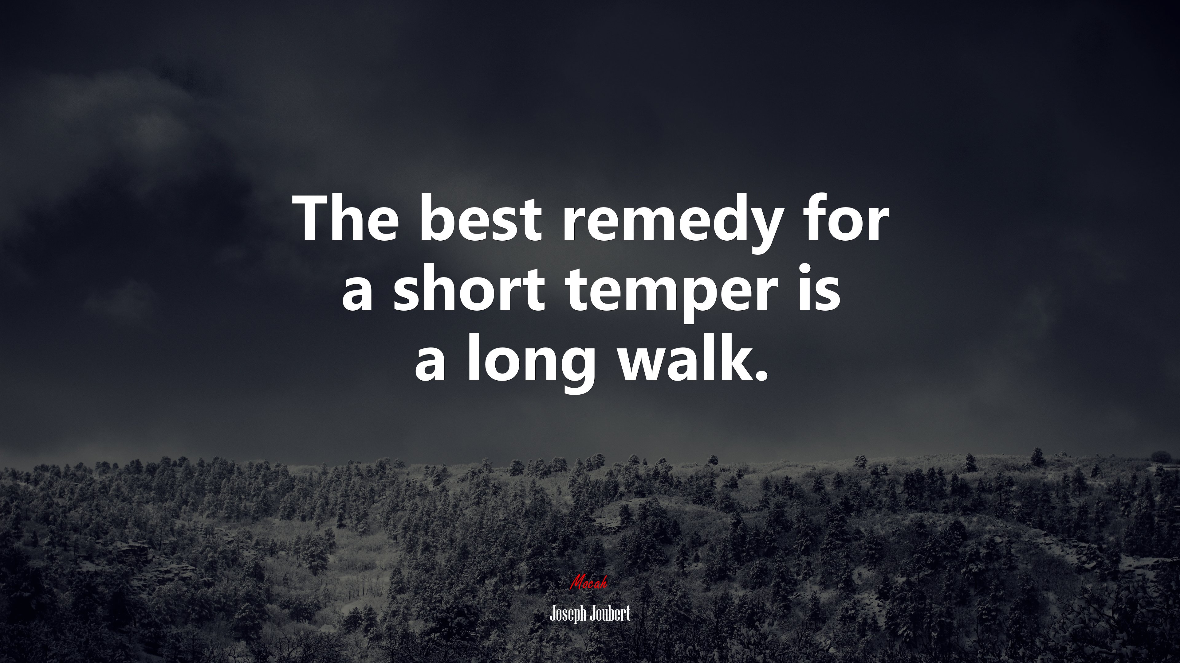 The best remedy for a short temper is a long walk. | Joseph Joubert quote HD Wallpaper