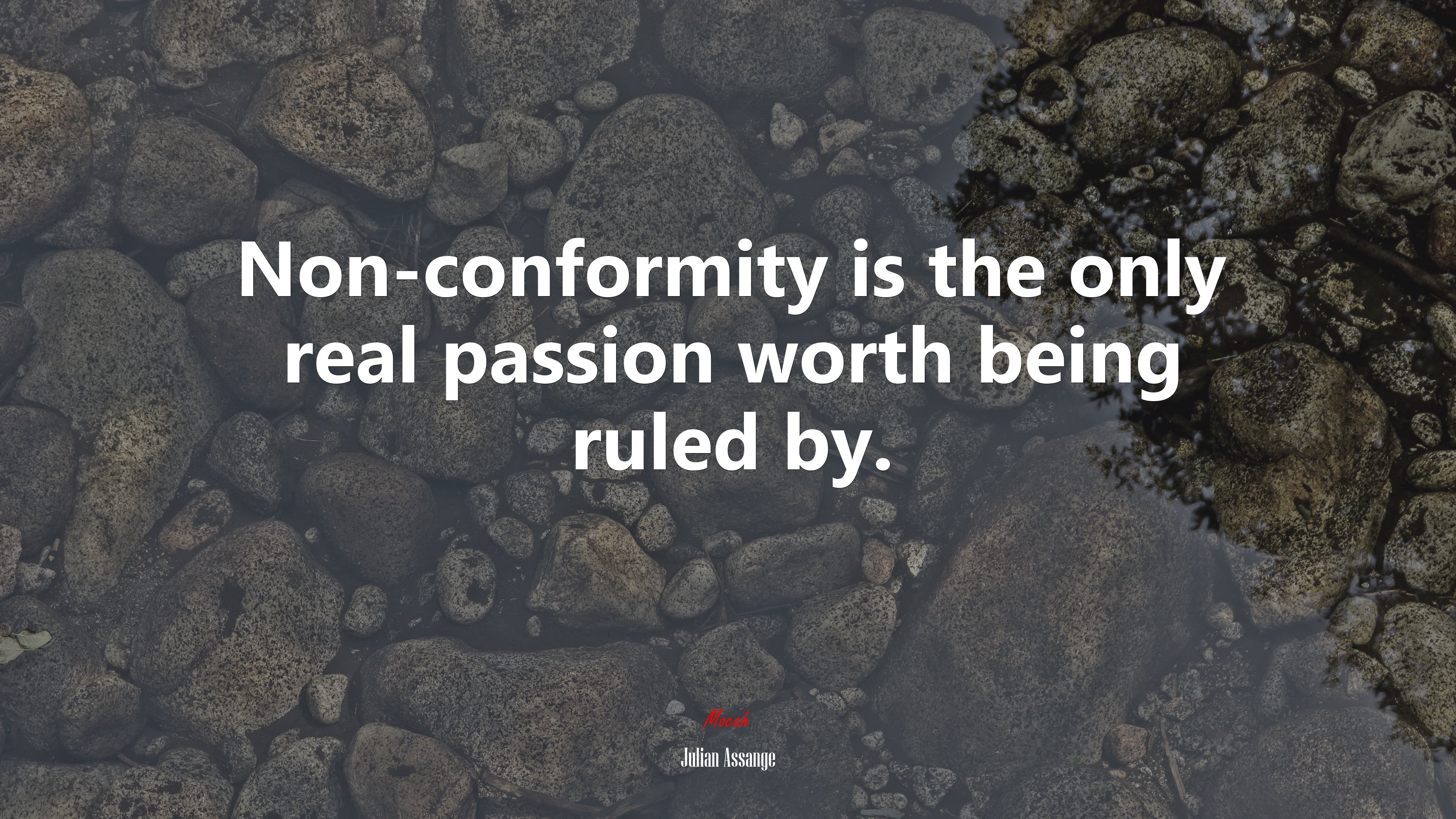 Non-conformity is the only real passion worth being ruled by. | Julian Assange quote HD Wallpaper