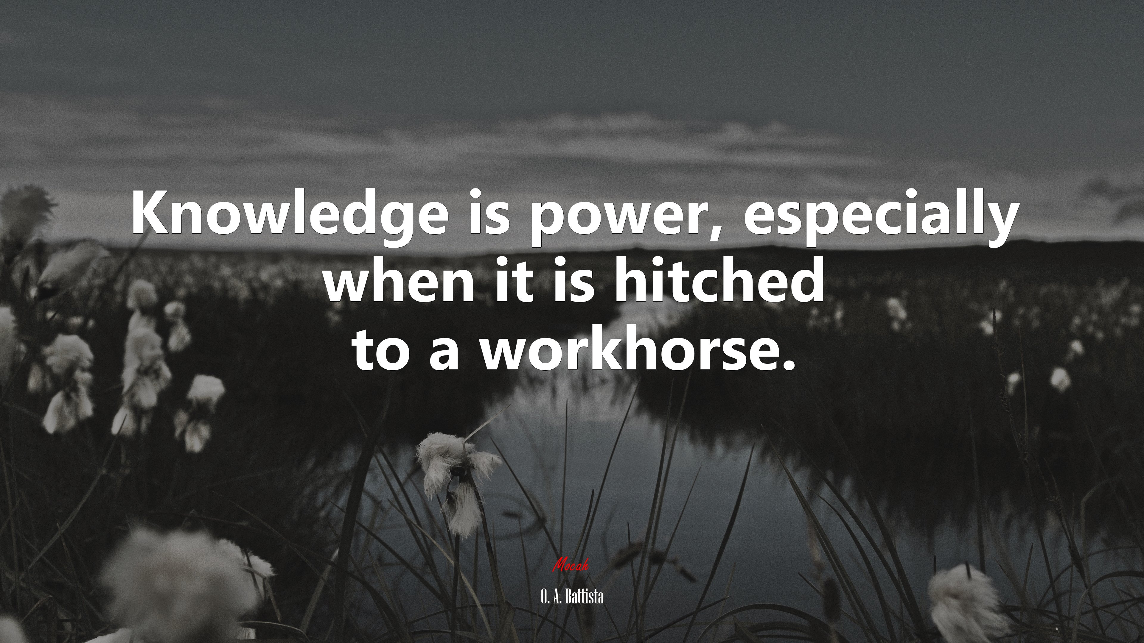 Knowledge is power, especially when it is hitched to a workhorse. | O. A. Battista quote HD Wallpaper