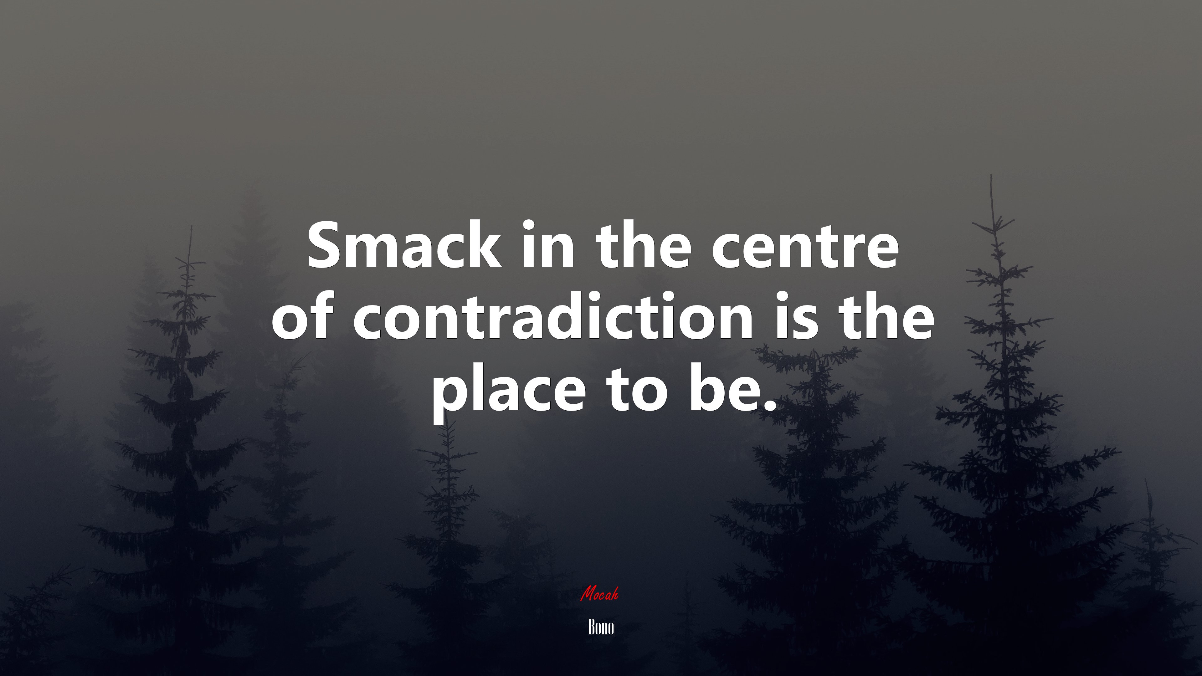 Smack in the centre of contradiction is the place to be. | Bono quote HD Wallpaper
