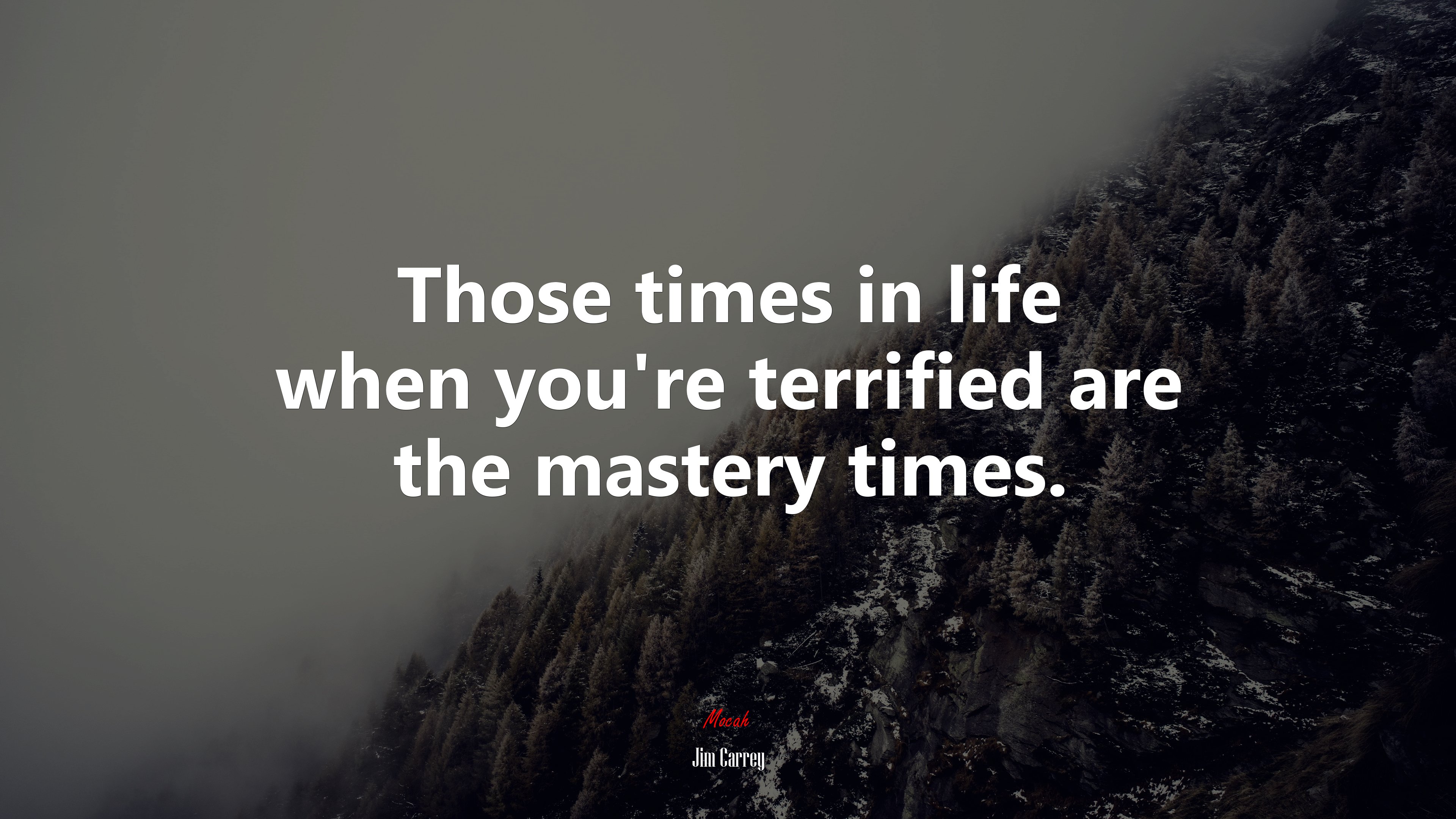 Those times in life when you’re terrified are the mastery times. | Jim Carrey quote HD Wallpaper