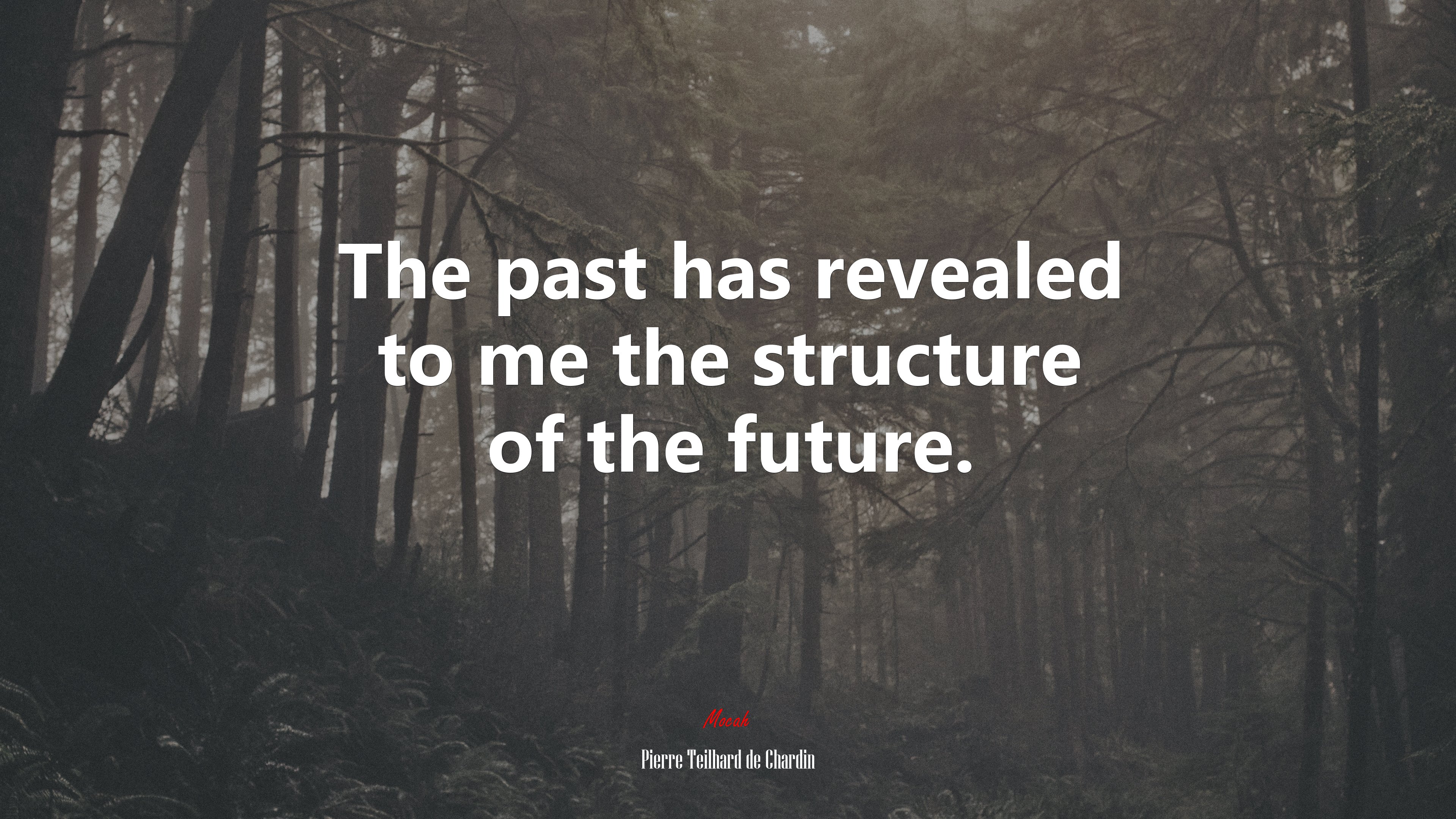 The past has revealed to me the structure of the future. | Pierre Teilhard de Chardin quote HD Wallpaper