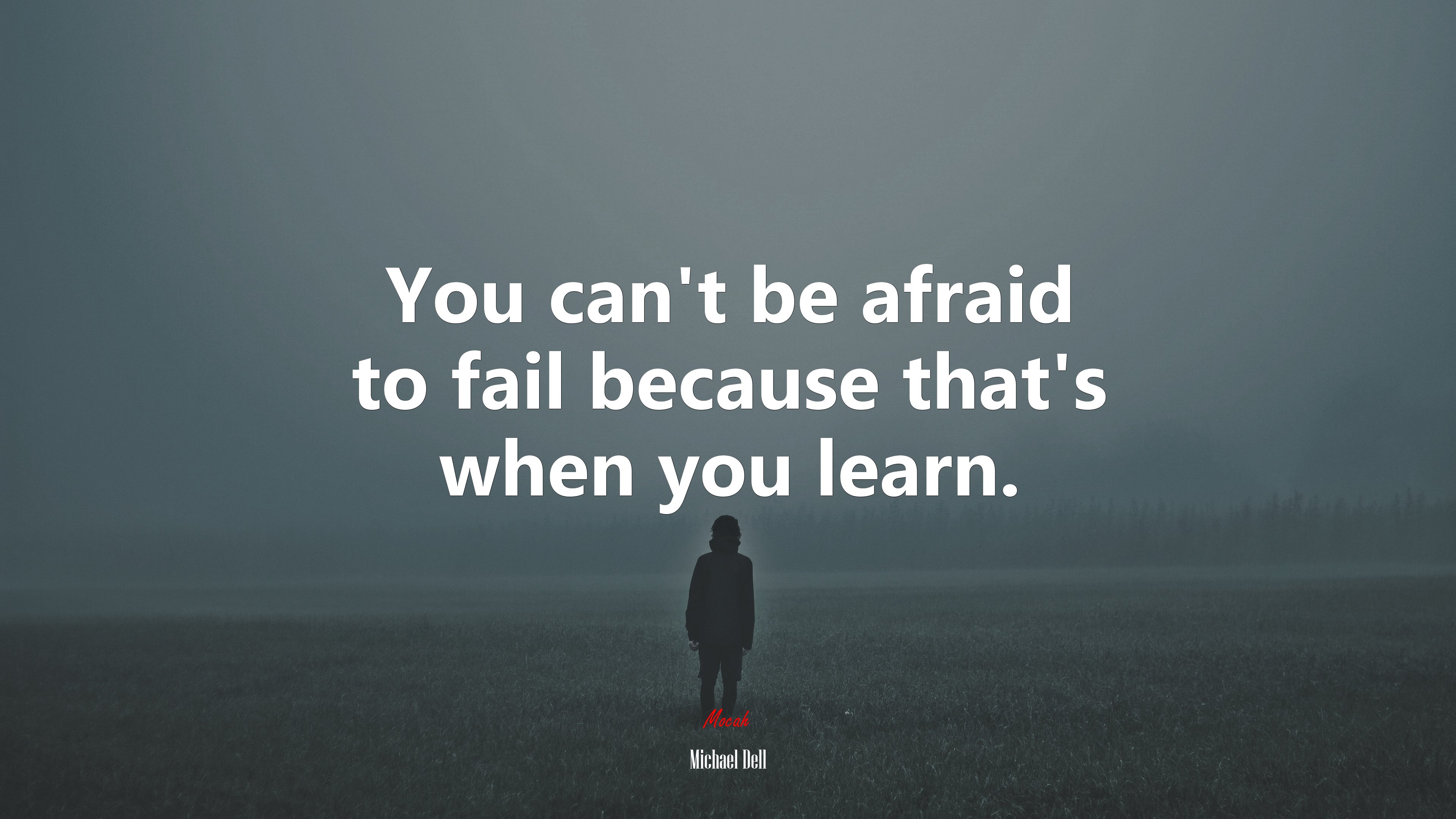 You can’t be afraid to fail because that’s when you learn. | Michael Dell quote HD Wallpaper