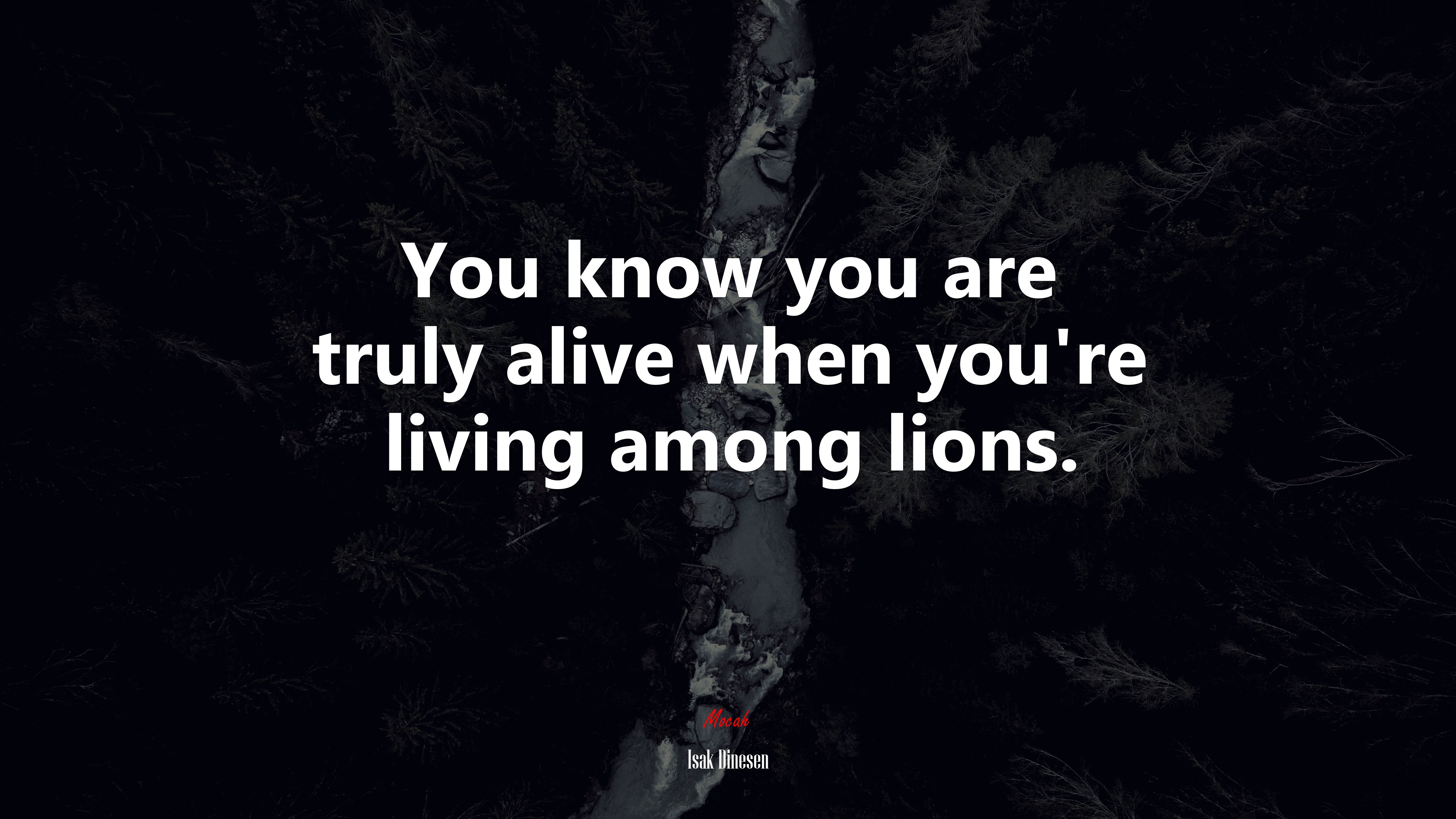You know you are truly alive when you’re living among lions. | Isak Dinesen quote HD Wallpaper