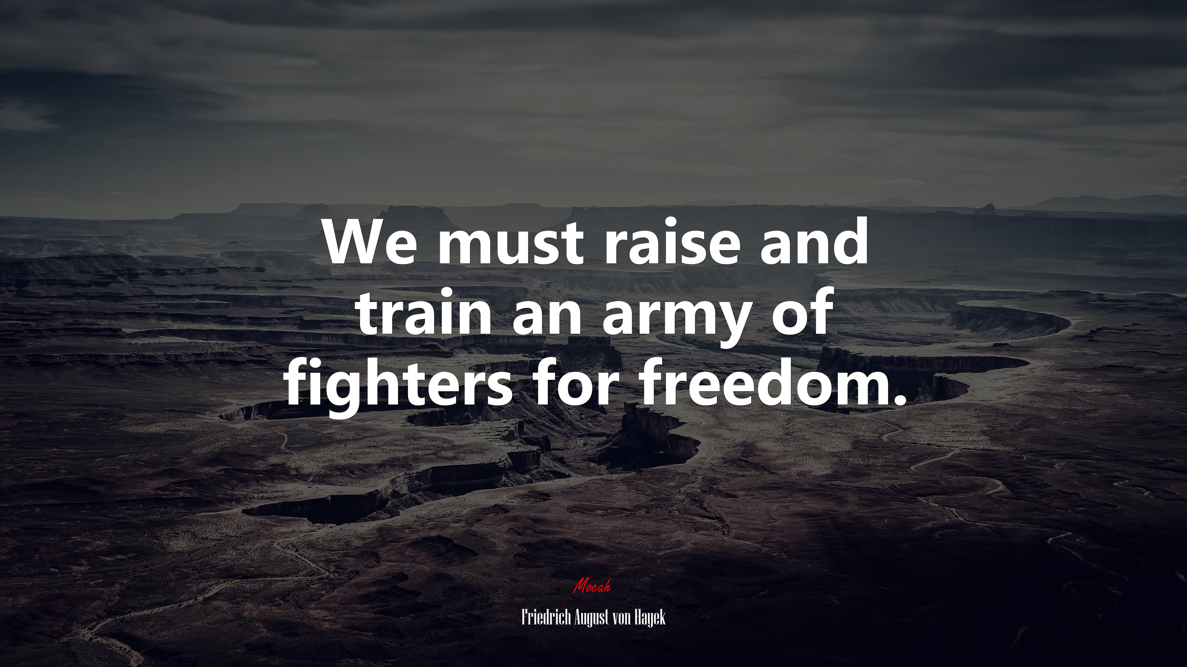 We must raise and train an army of fighters for freedom. | Friedrich August von Hayek quote HD Wallpaper