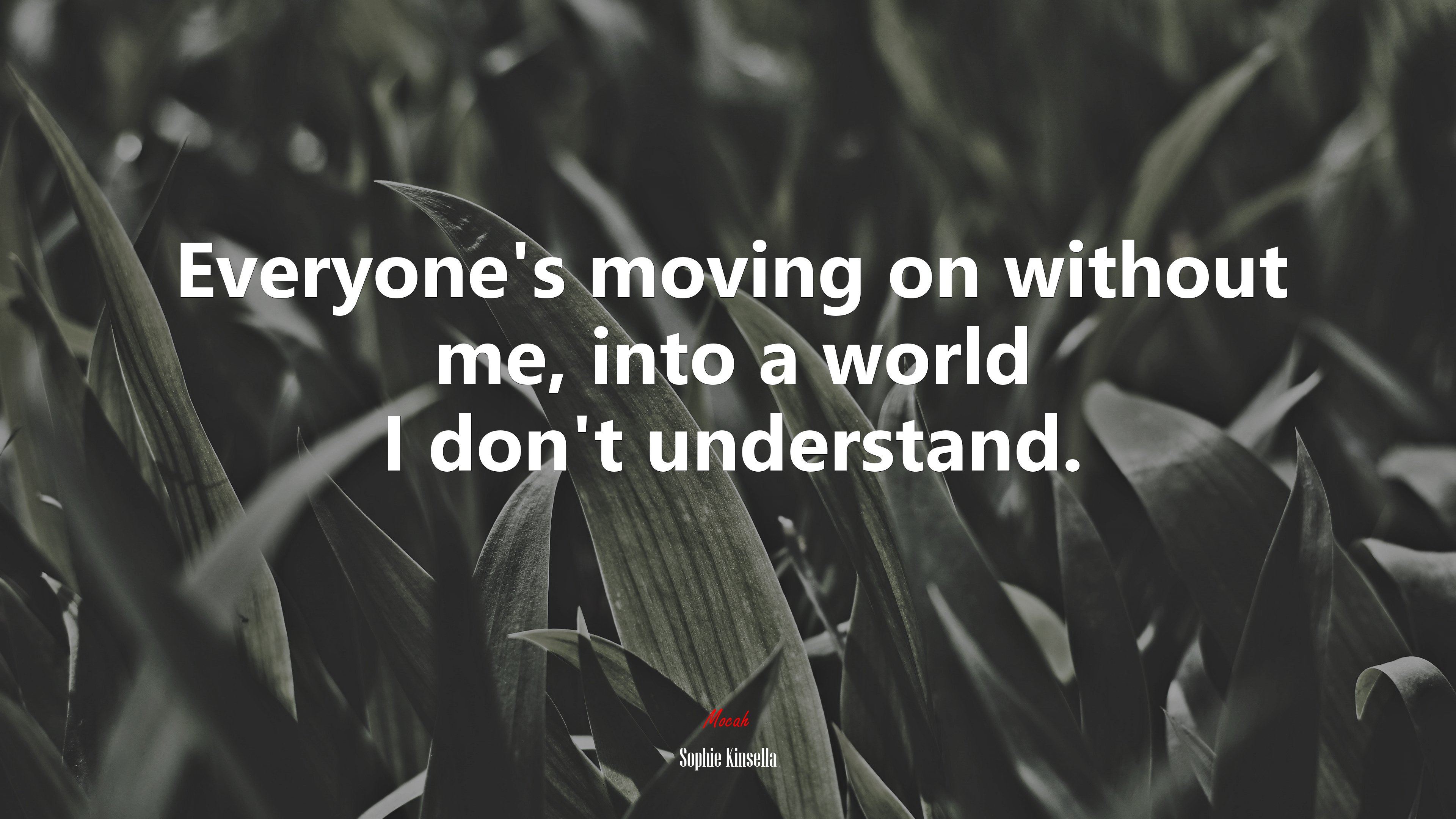 Everyone’s moving on without me, into a world I don’t understand. | Sophie Kinsella quote HD Wallpaper