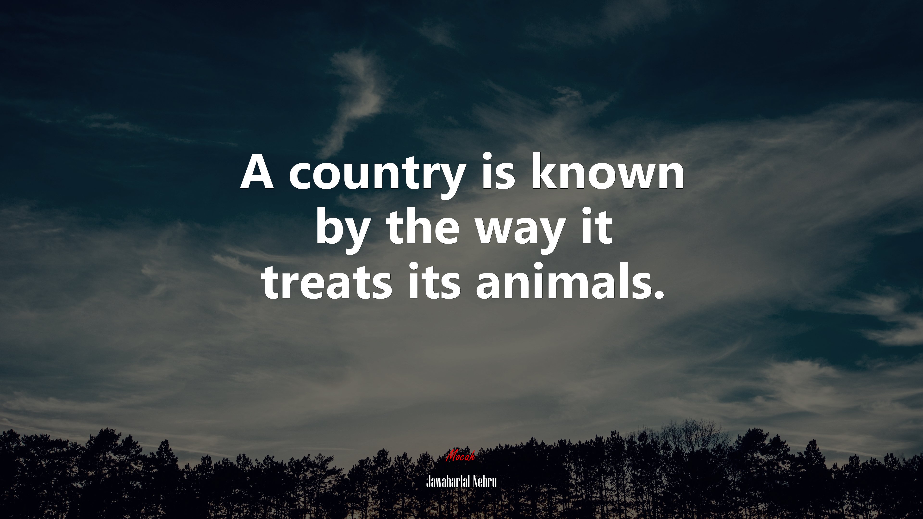 A country is known by the way it treats its animals. | Jawaharlal Nehru quote HD Wallpaper