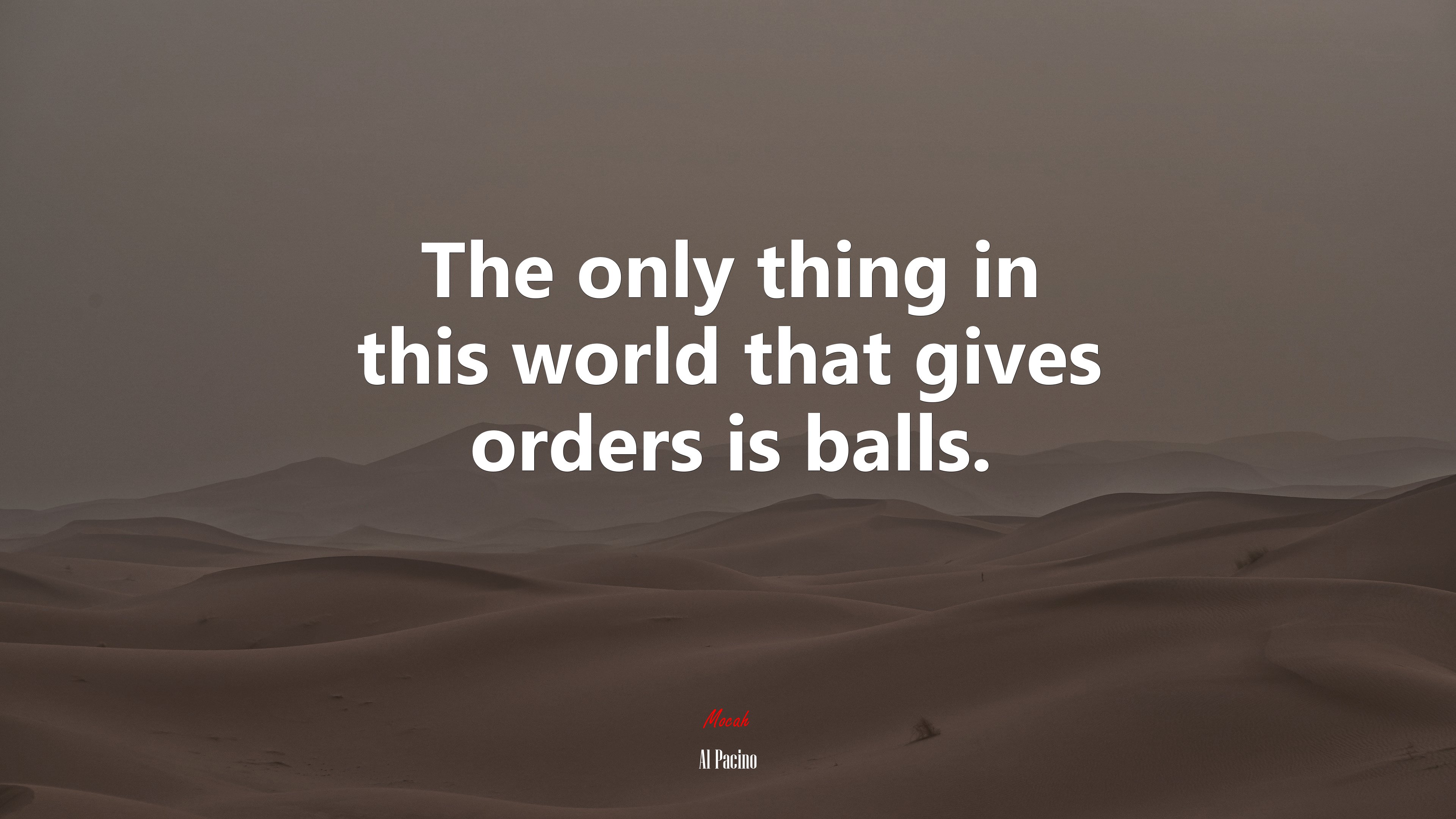 The only thing in this world that gives orders is balls. | Al Pacino quote HD Wallpaper