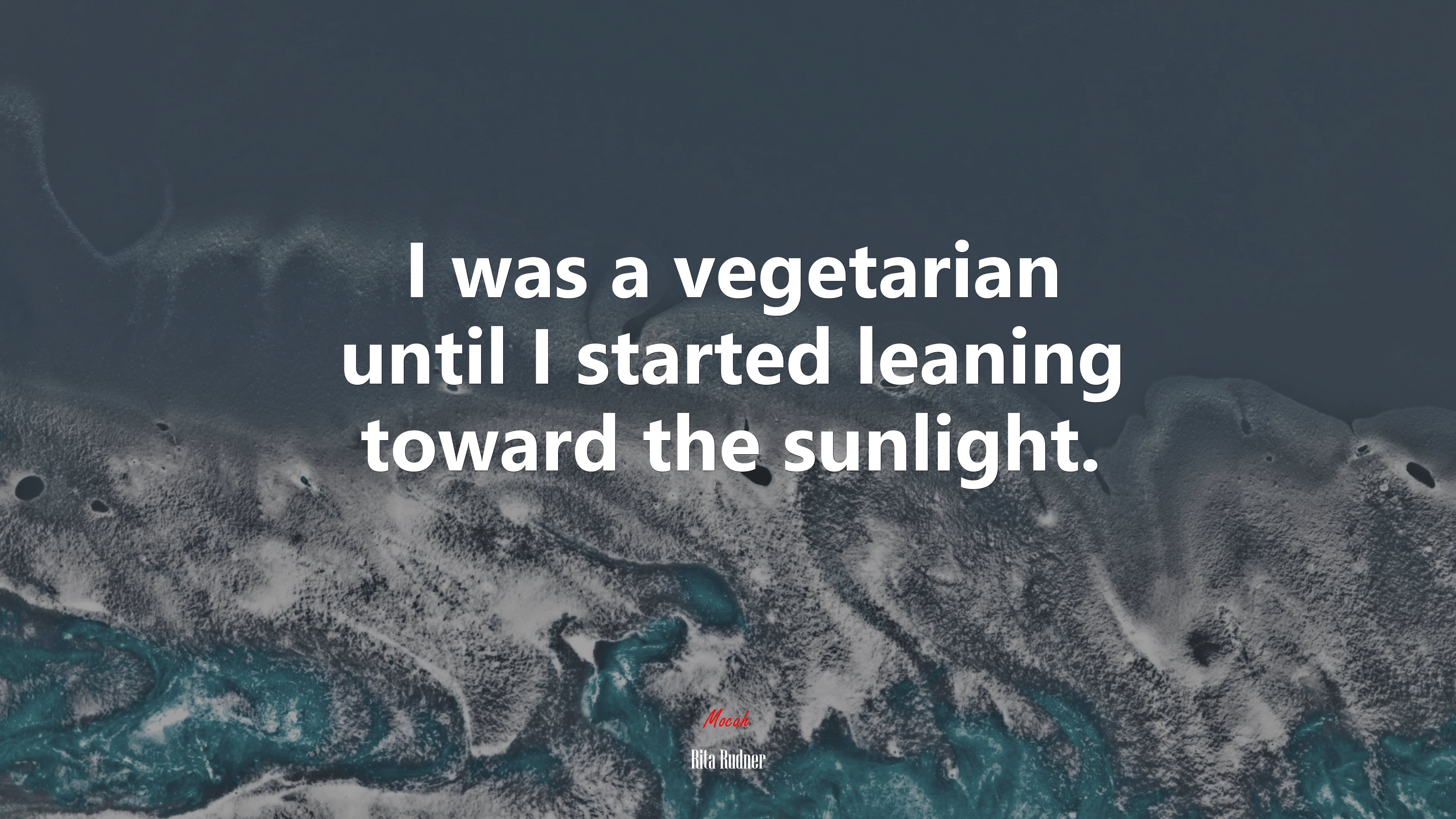 I was a vegetarian until I started leaning toward the sunlight. | Rita Rudner quote HD Wallpaper
