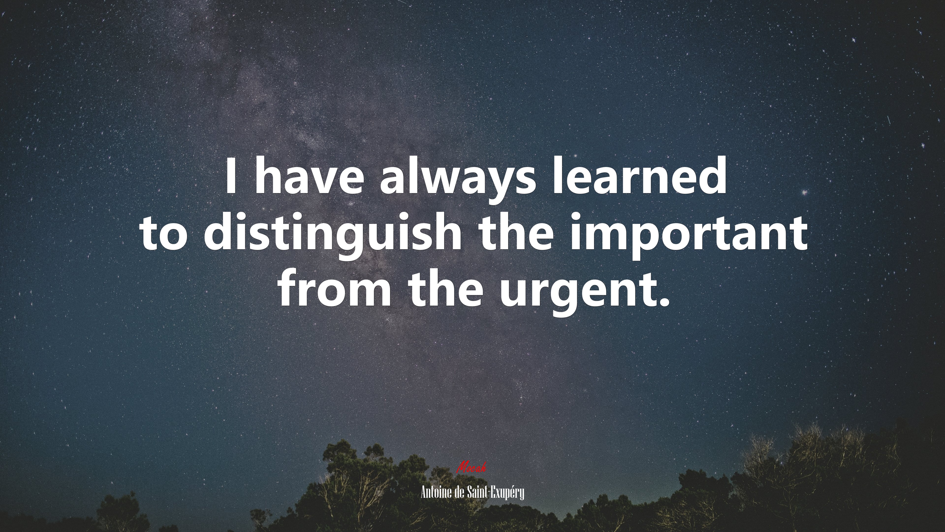 I have always learned to distinguish the important from the urgent. | Antoine de Saint-Exupéry quote HD Wallpaper