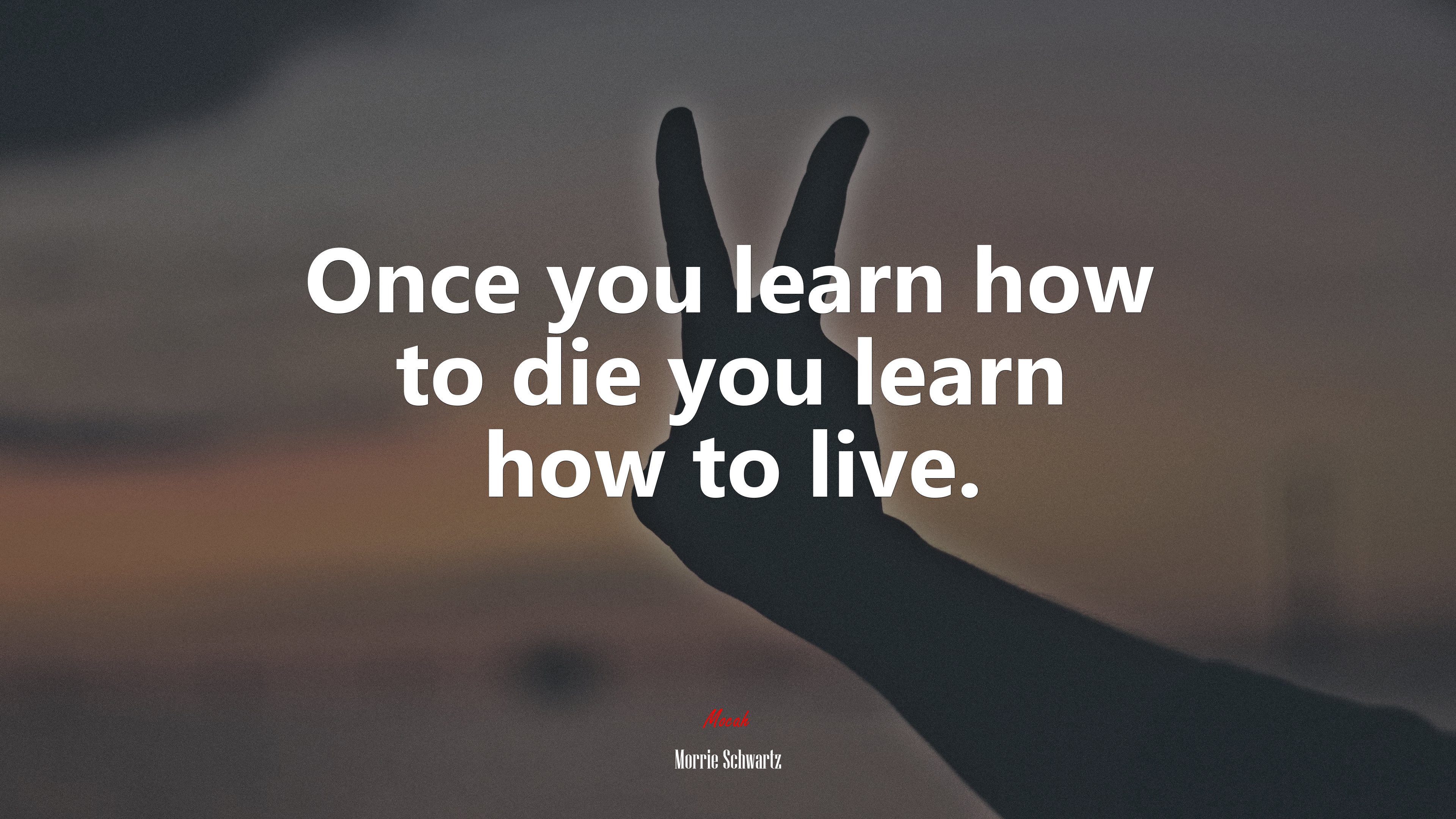 Once you learn how to die you learn how to live. | Morrie Schwartz quote HD Wallpaper