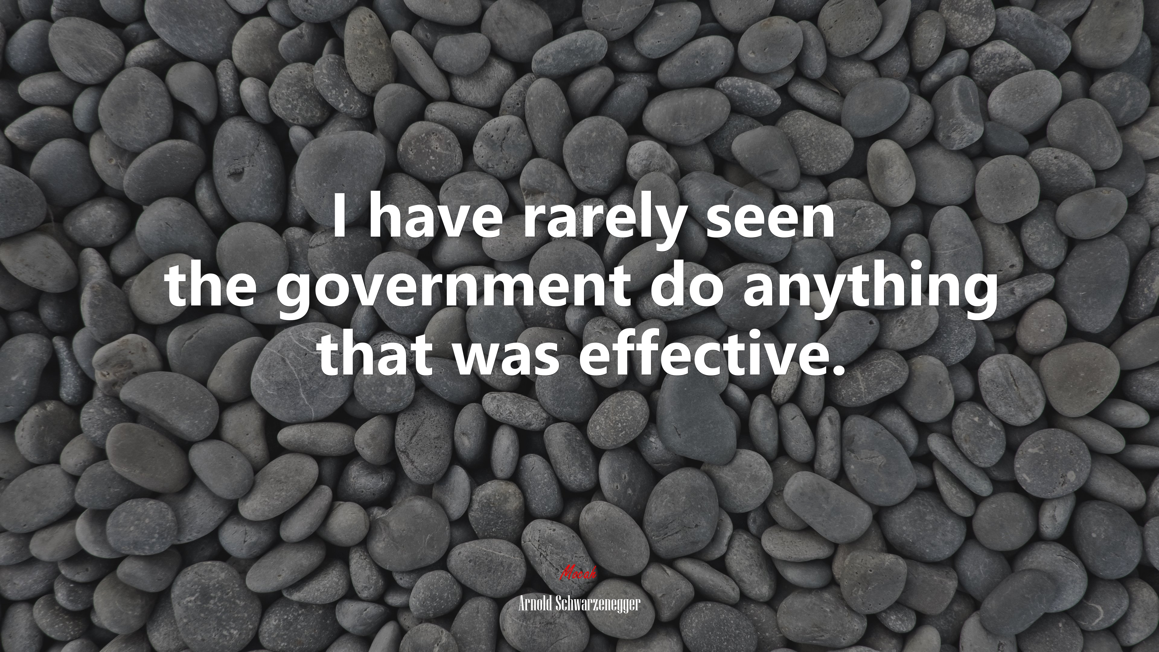 I have rarely seen the government do anything that was effective. | Arnold Schwarzenegger quote HD Wallpaper