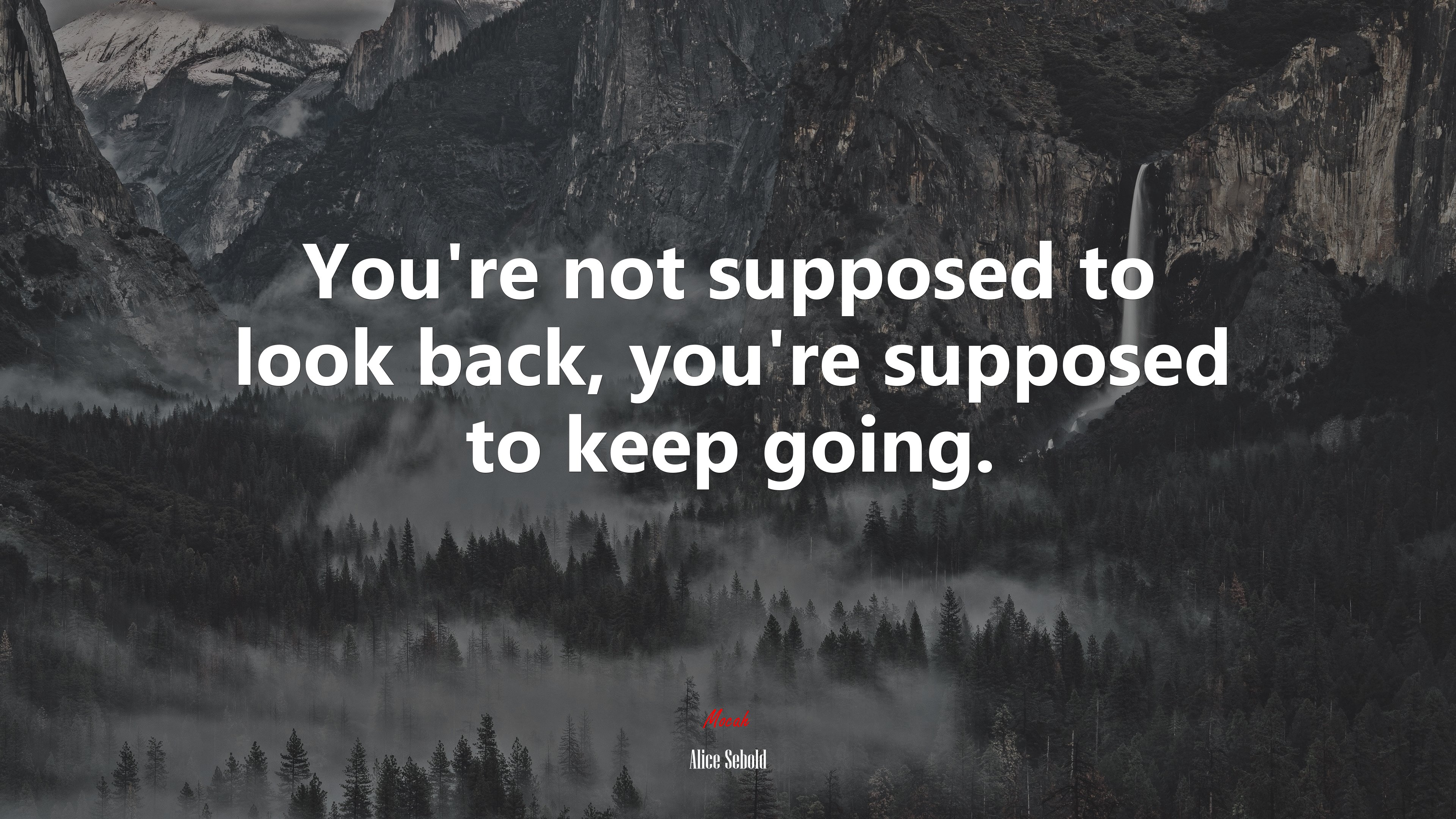 You’re not supposed to look back, you’re supposed to keep going. | Alice Sebold quote HD Wallpaper
