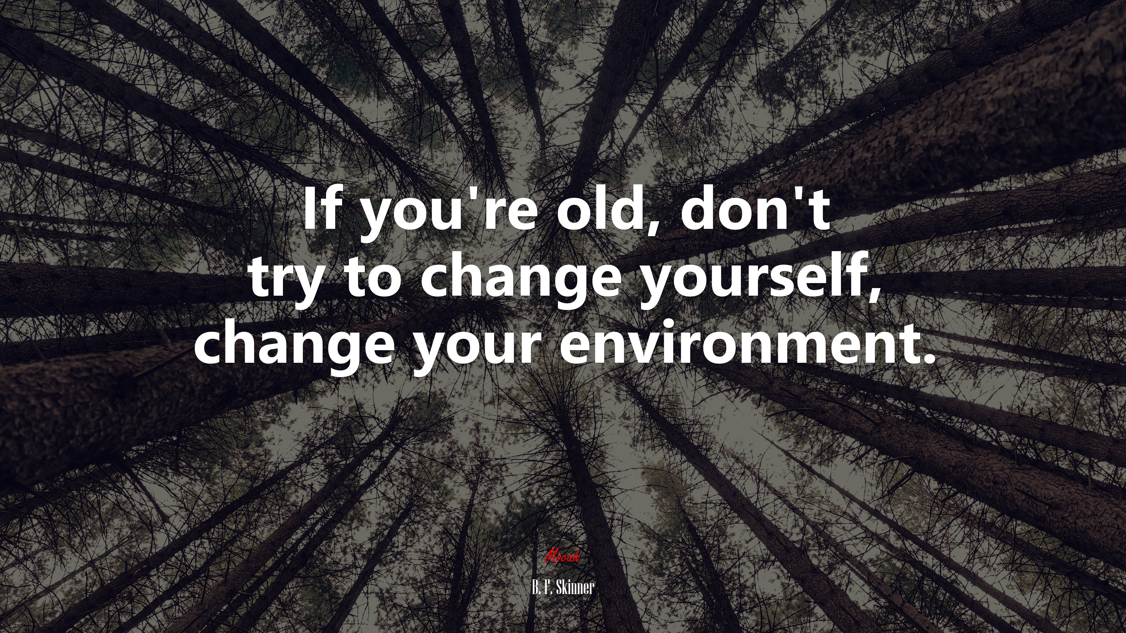 If you’re old, don’t try to change yourself, change your environment. | B. F. Skinner quote HD Wallpaper