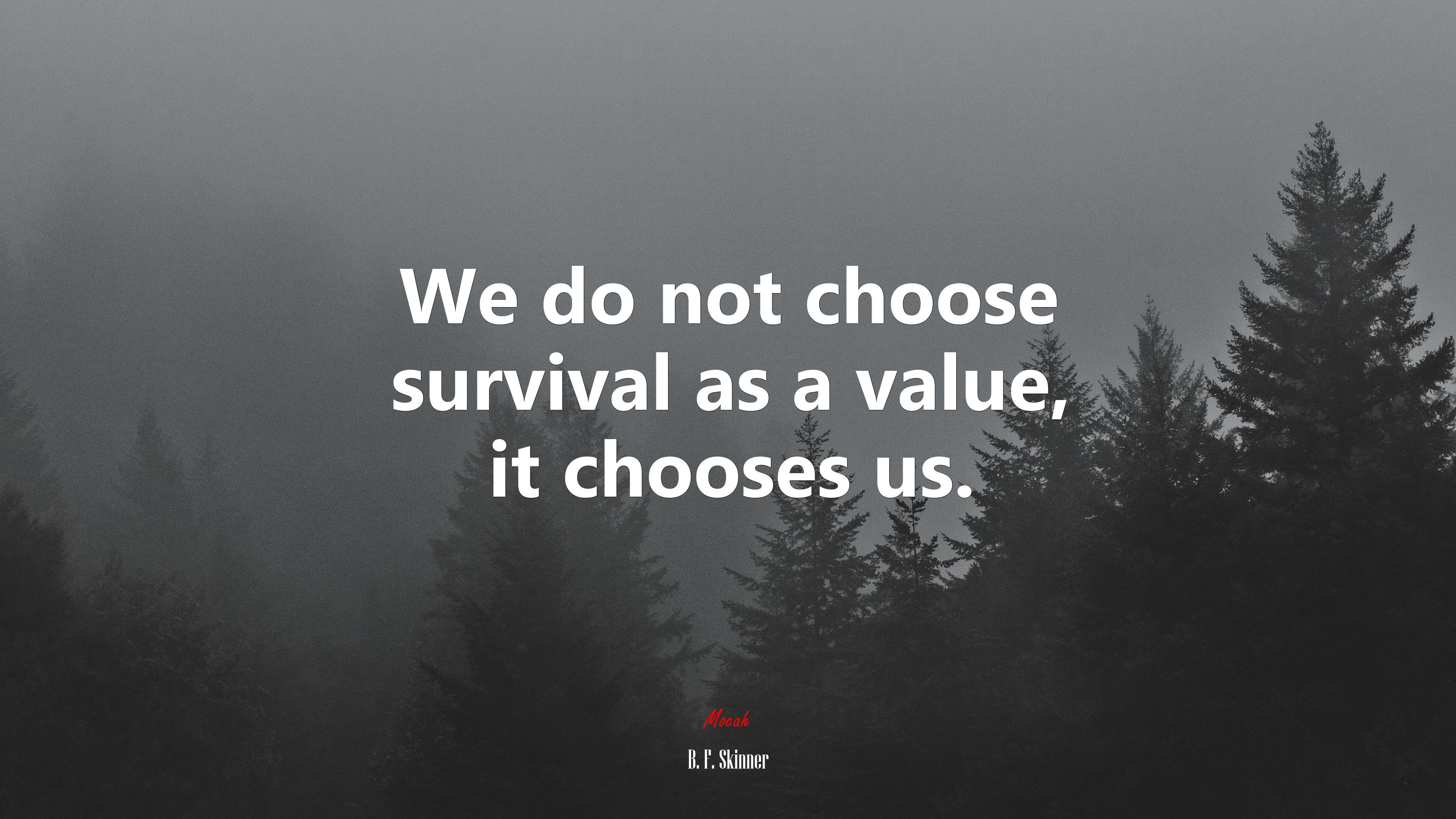 We do not choose survival as a value, it chooses us. | B. F. Skinner quote HD Wallpaper