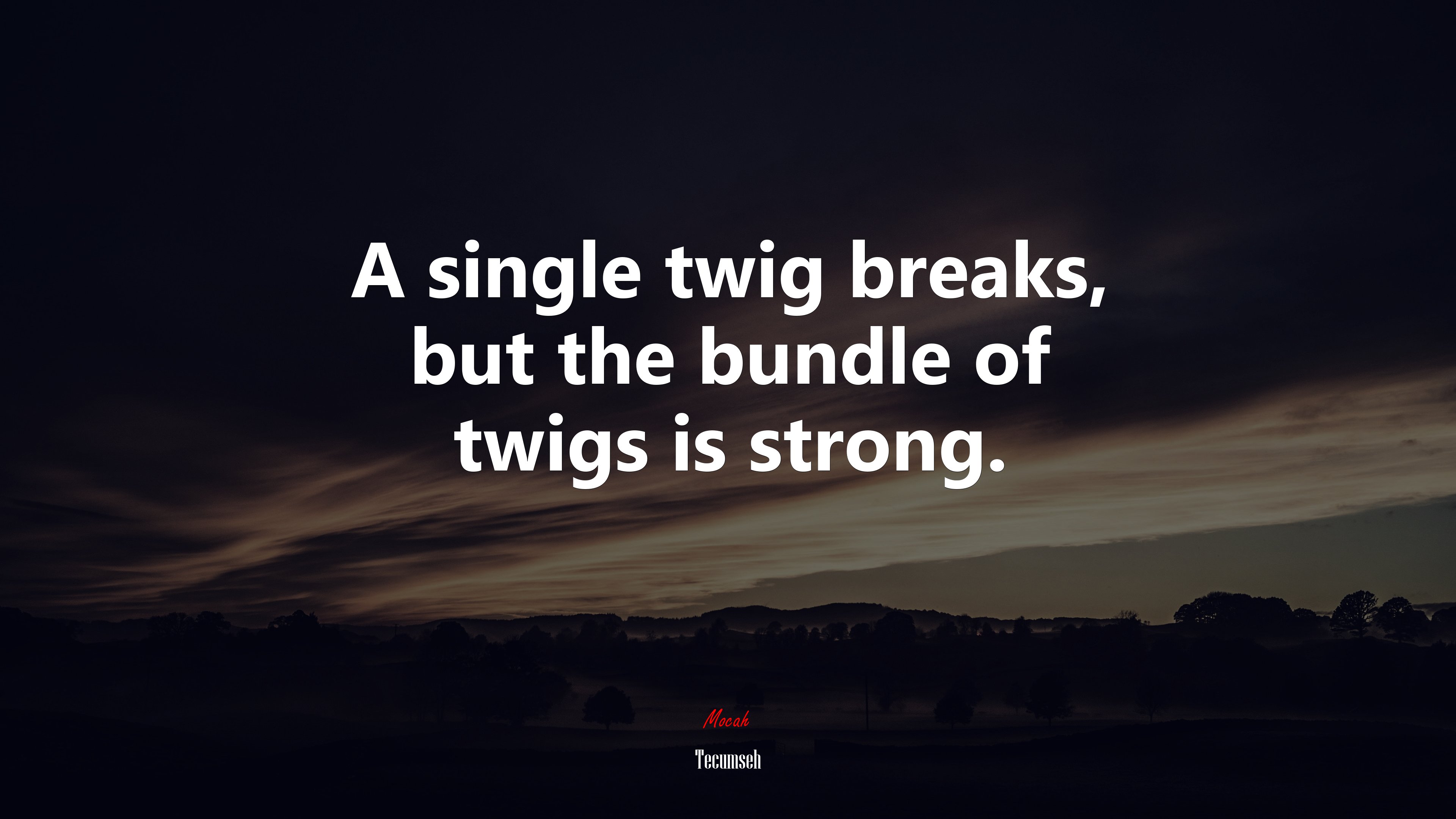 A single twig breaks, but the bundle of twigs is strong. | Tecumseh quote HD Wallpaper