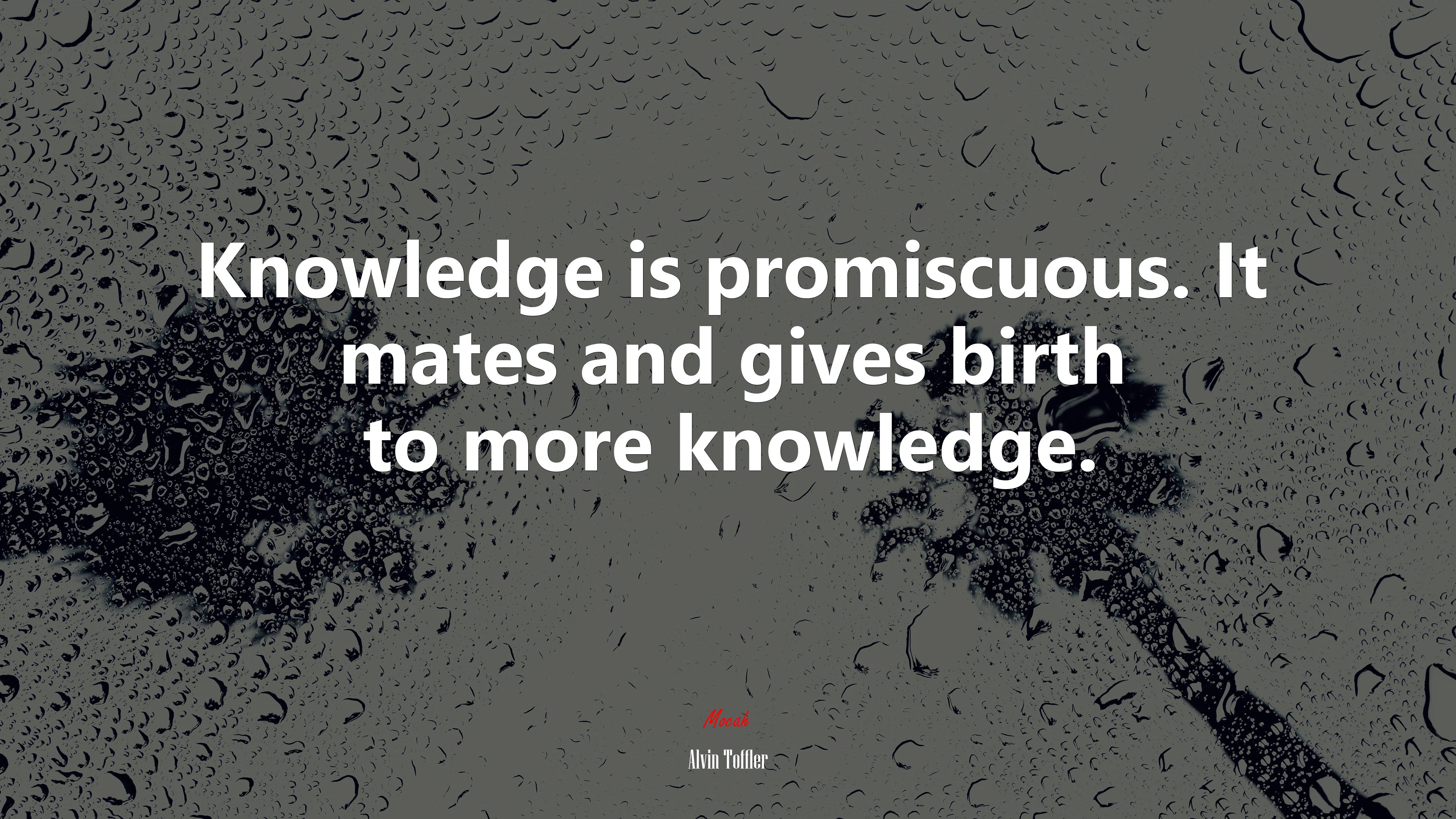 Knowledge is promiscuous. It mates and gives birth to more knowledge. | Alvin Toffler quote HD Wallpaper