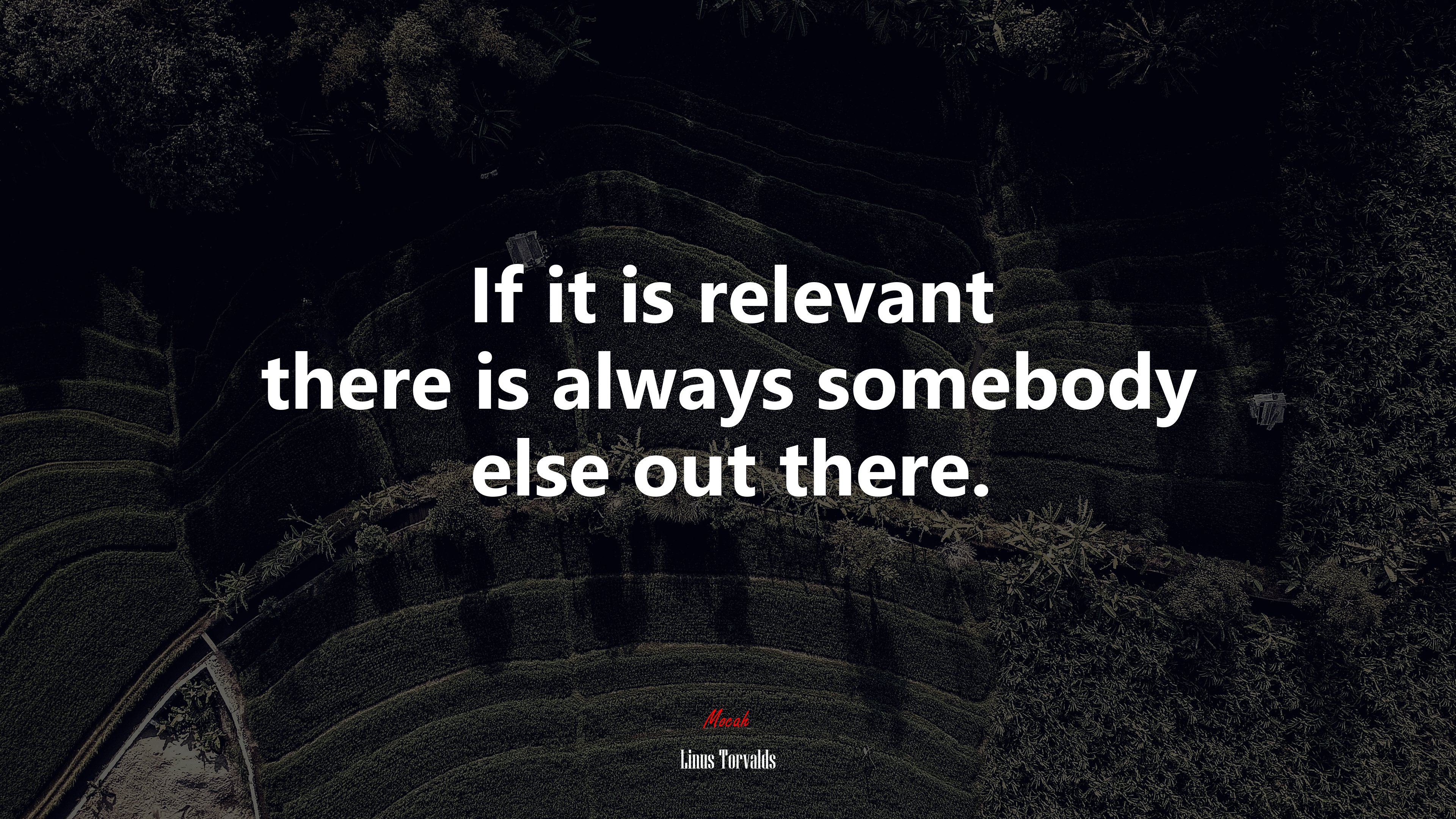 If it is relevant there is always somebody else out there. | Linus Torvalds quote HD Wallpaper